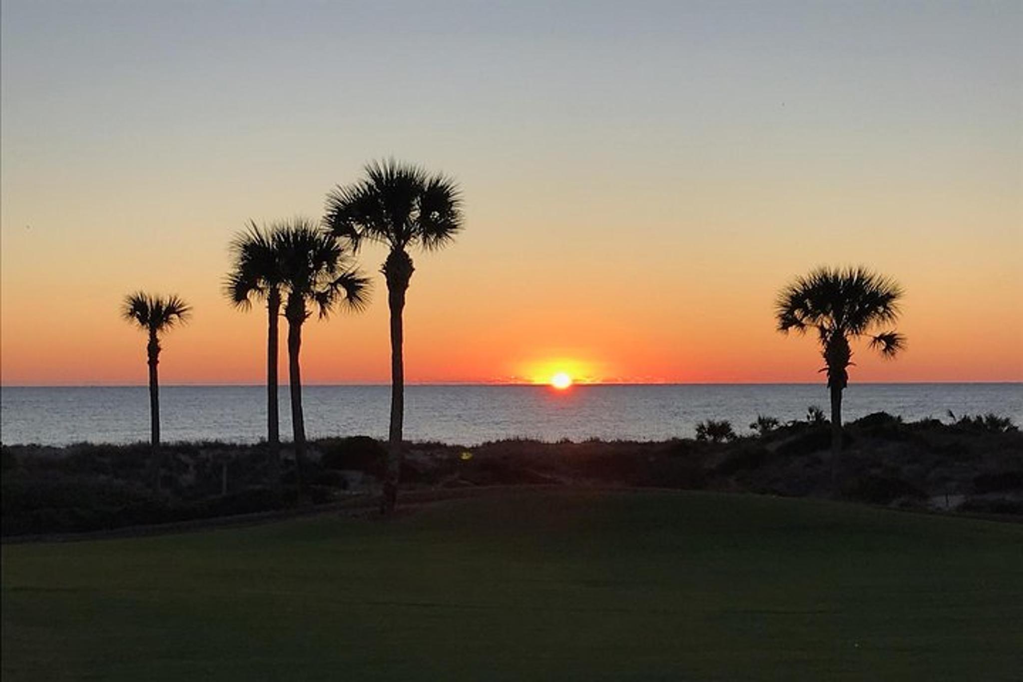 Amelia Island Road Tour - Image 3