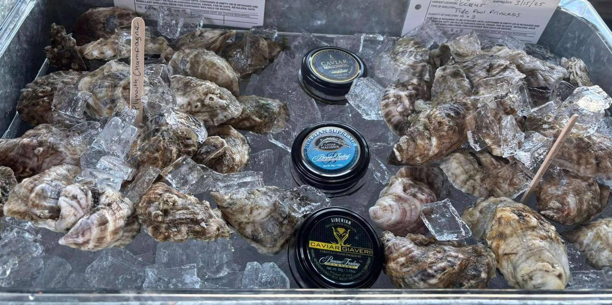 Plymouth Sunset Cruise with Oyster Tasting - Image 5