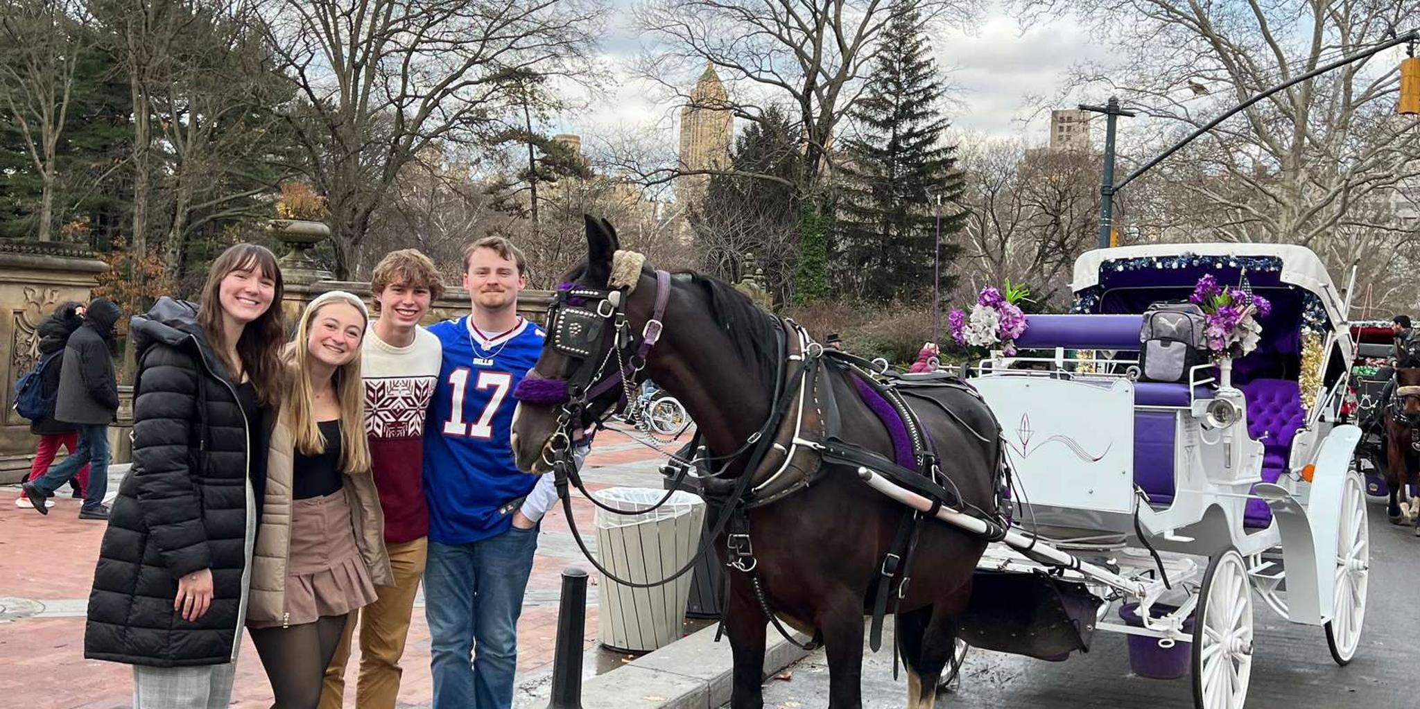 New York City Central Park Horse Carriage Ride - Image 2