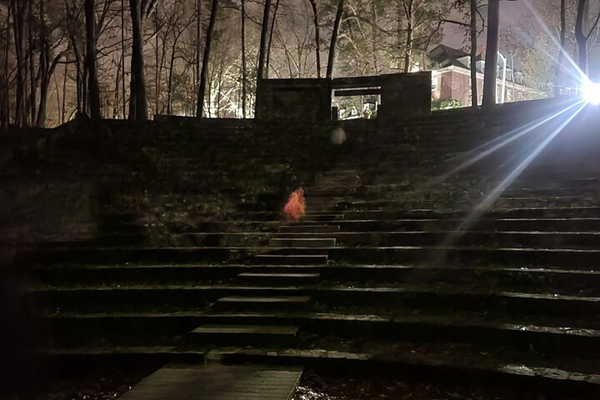 Chapel Hill Ghost Walk - Image 1