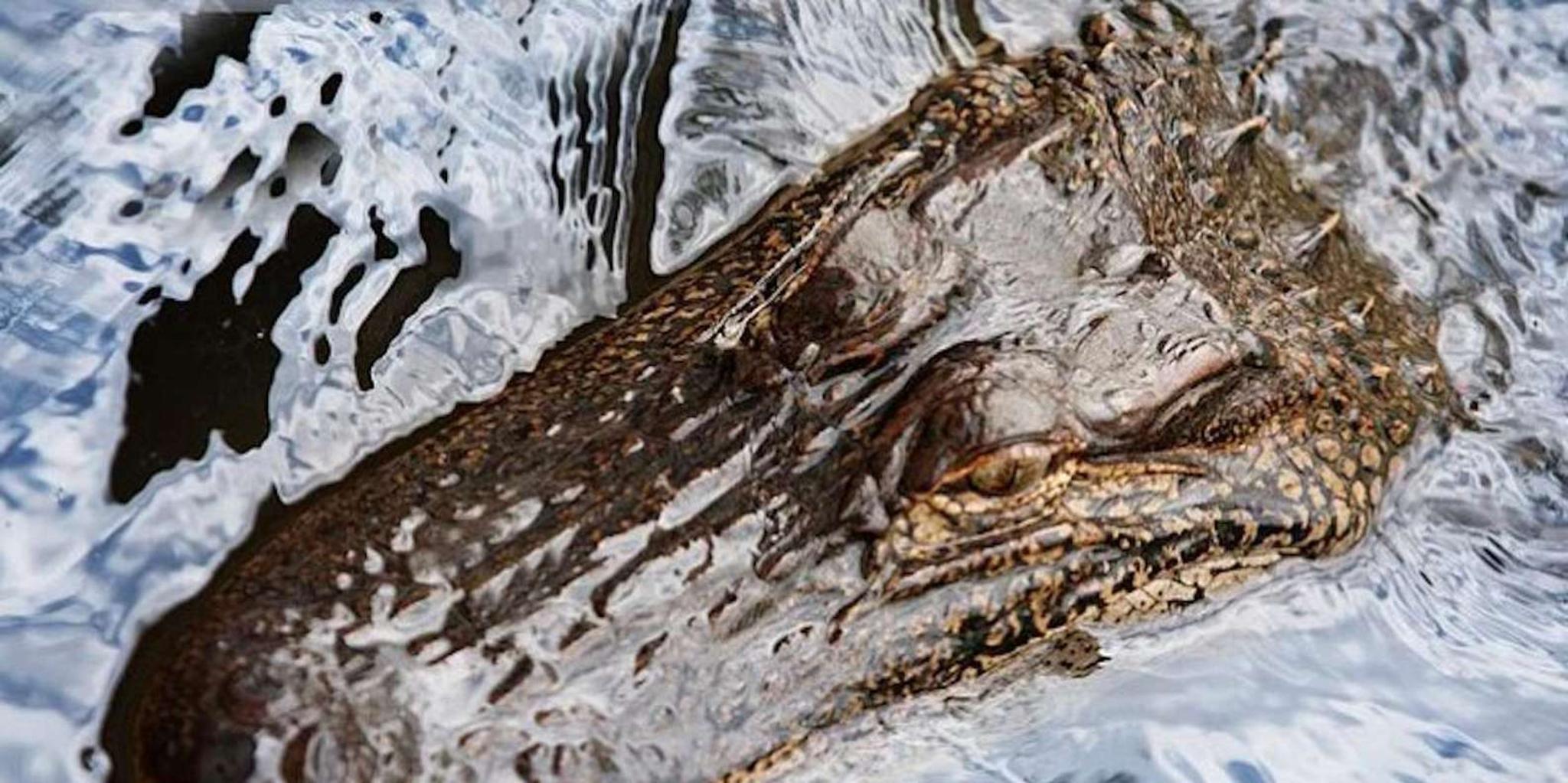 New Orleans Airboat Adventure Tour - Image 2