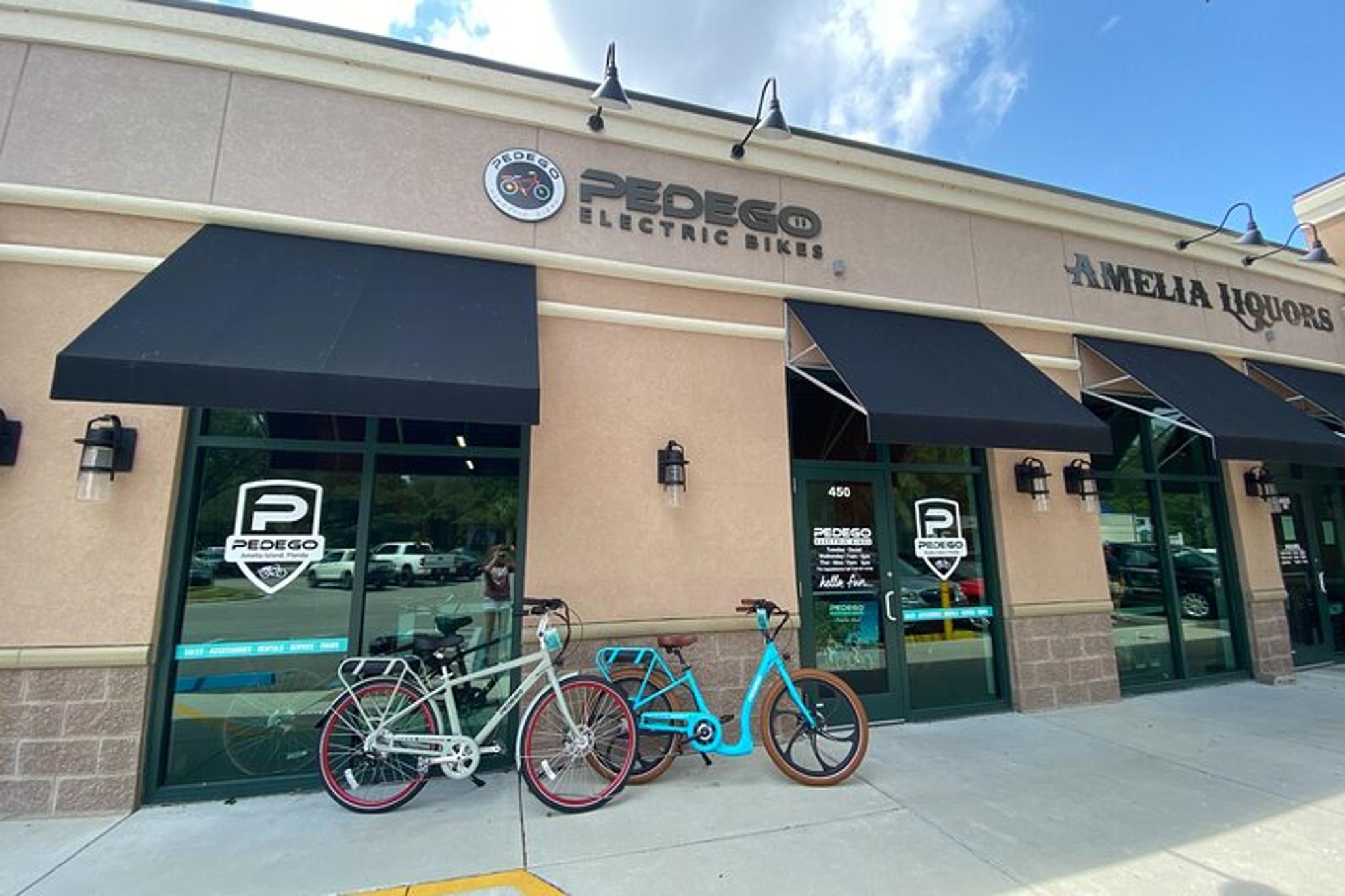 Amelia Island Electric Bike Tour - Image 4