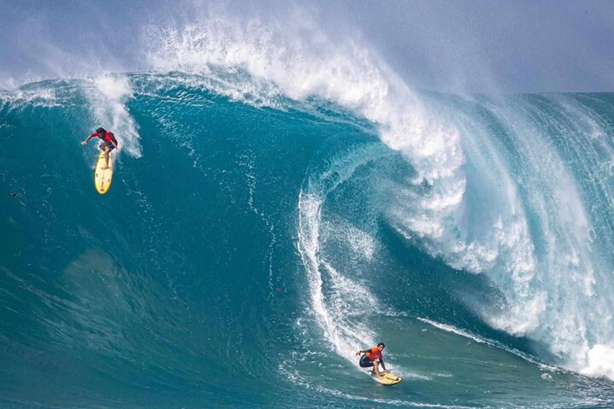 Oahu Swim with Turtles Tour - Image 3