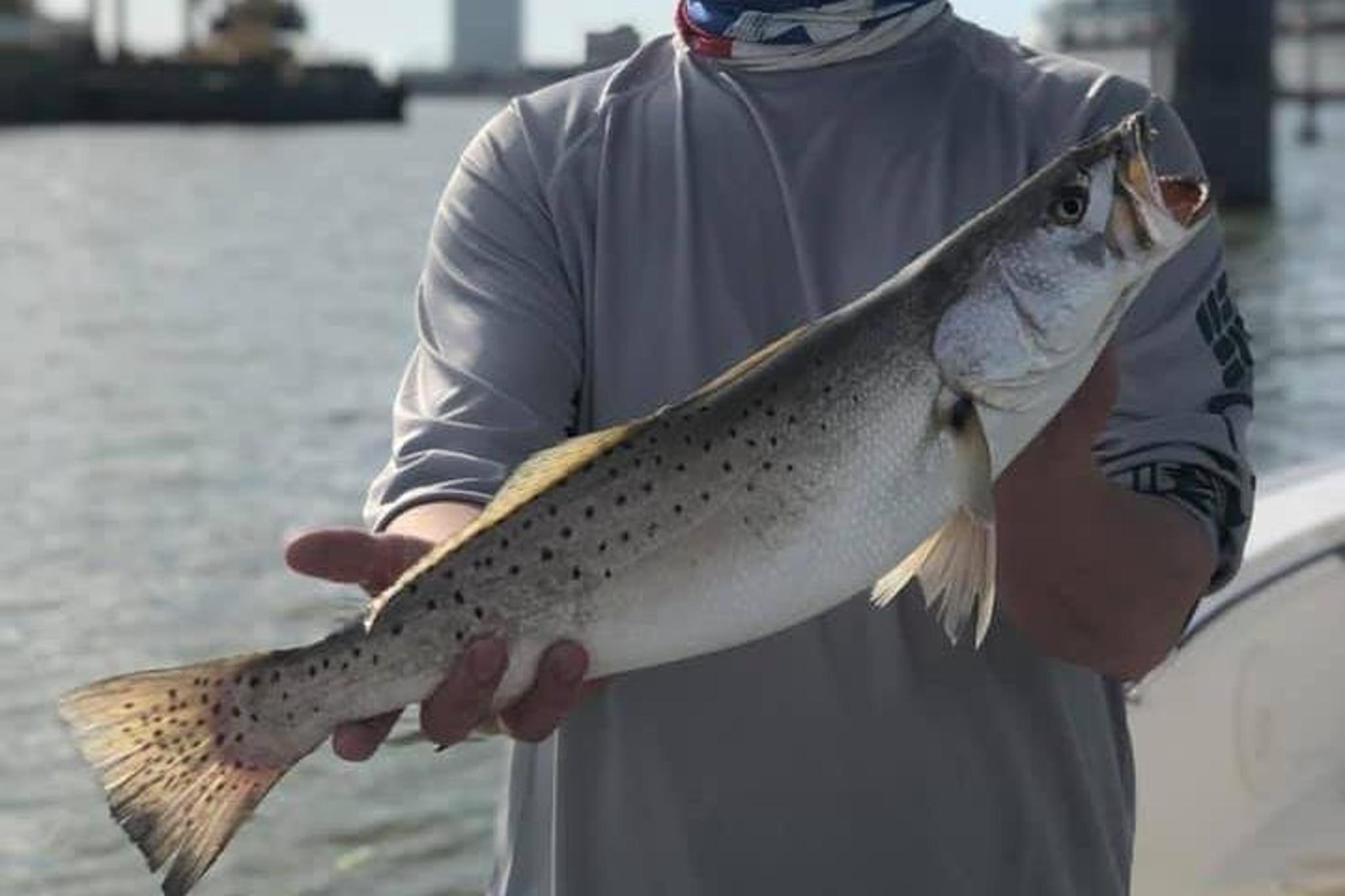 Galveston Jetty Fishing Trip 4.5 Hr - Image 4