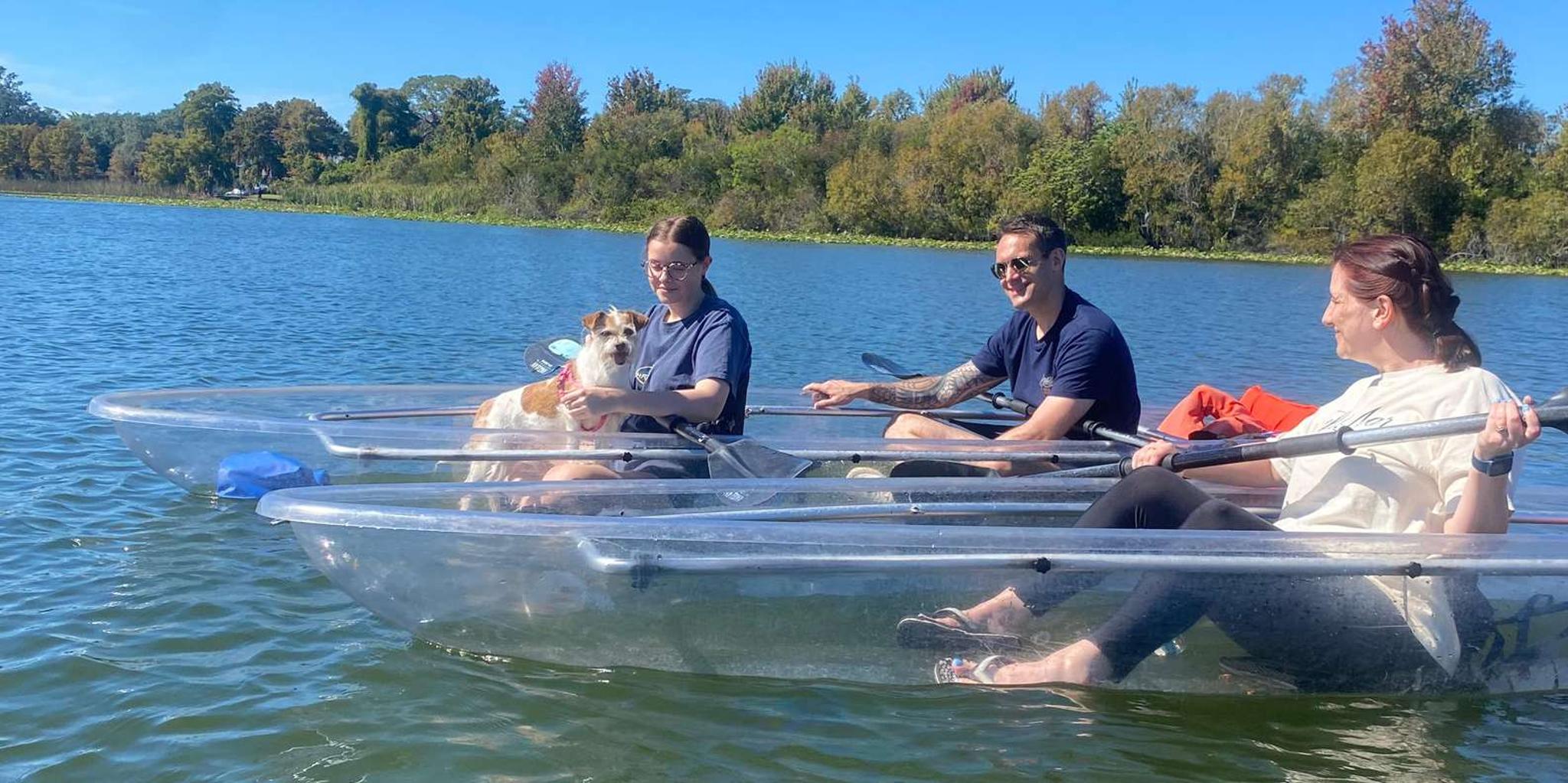 Orlando Paddleboard or Kayak Tour with Pups - Image 3