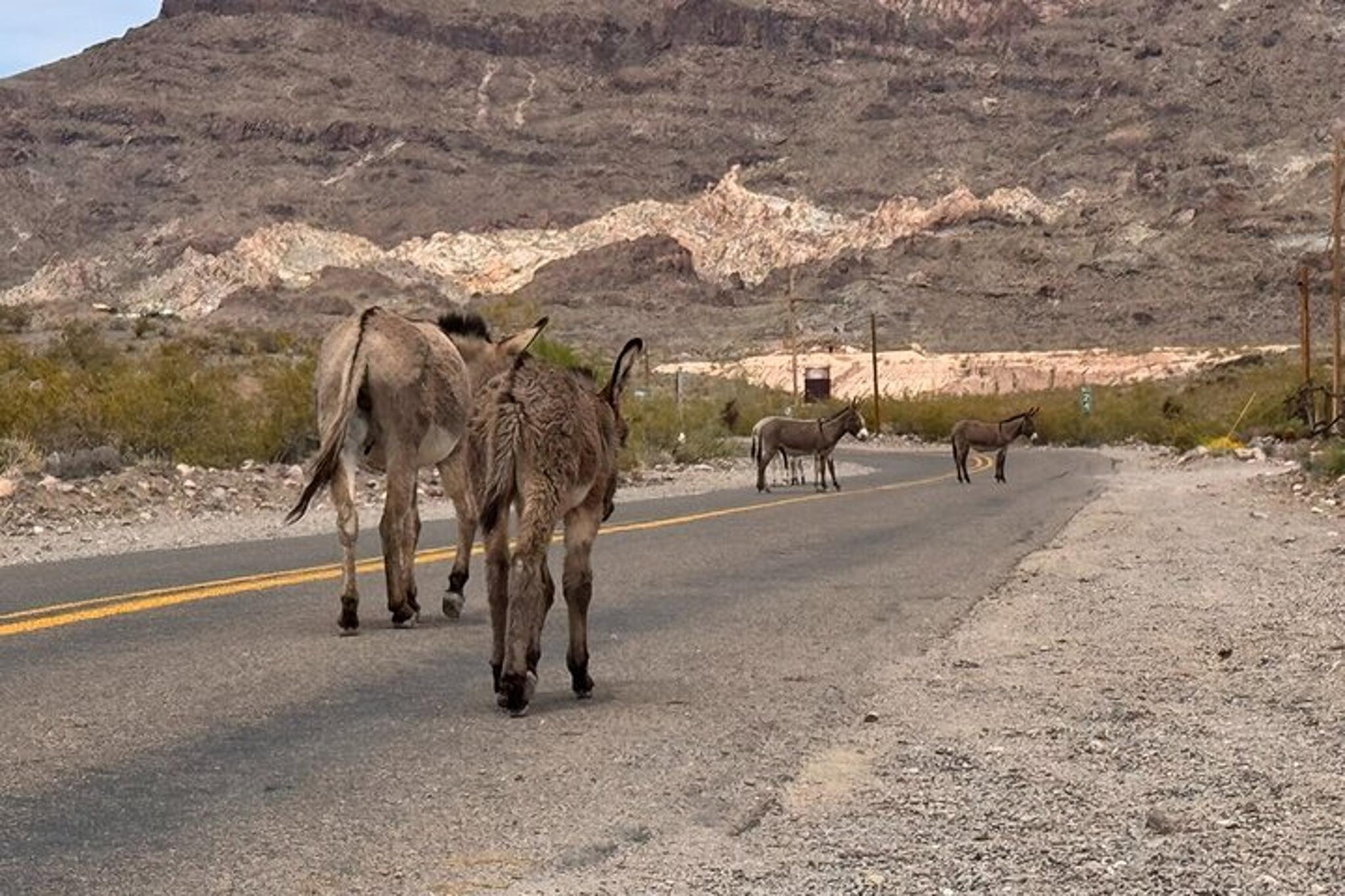 Las Vegas Route 66 and Ghost Town Tour - Image 6
