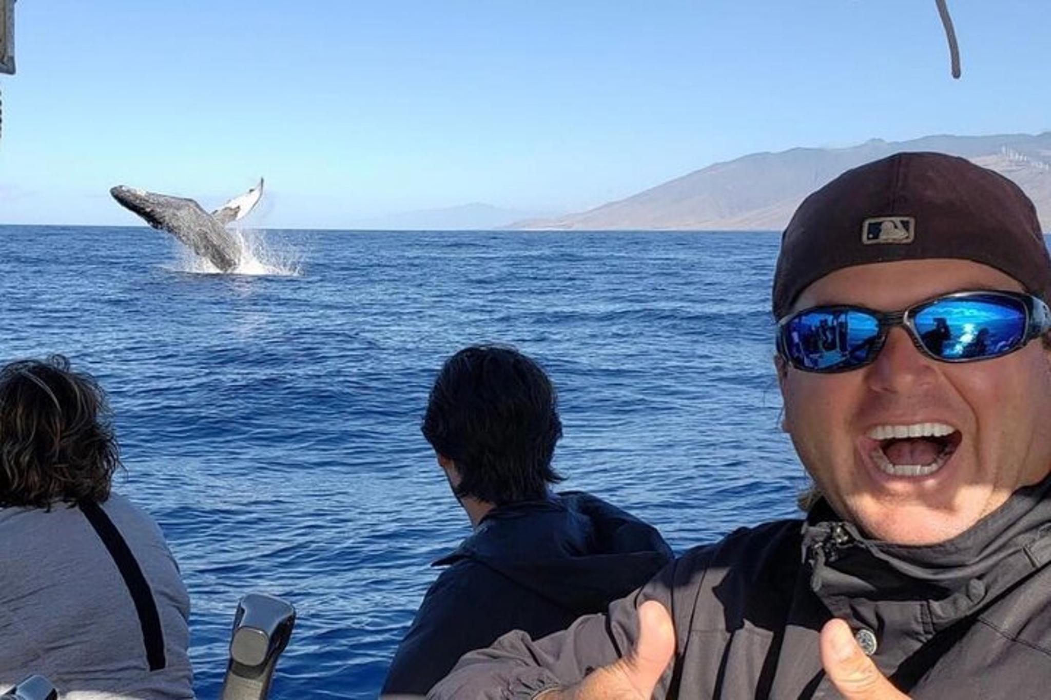 Maui Whale Watching Tour 1.5 hr - Image 3