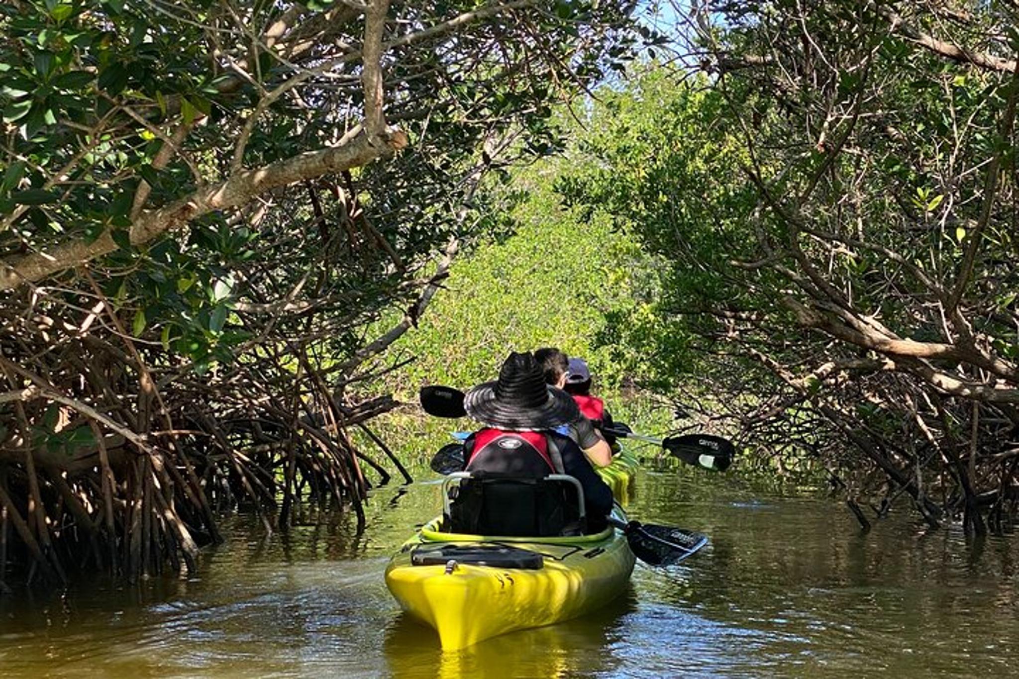 Cocoa Beach Manatee and Dolphin Kayak Tour - Image 2