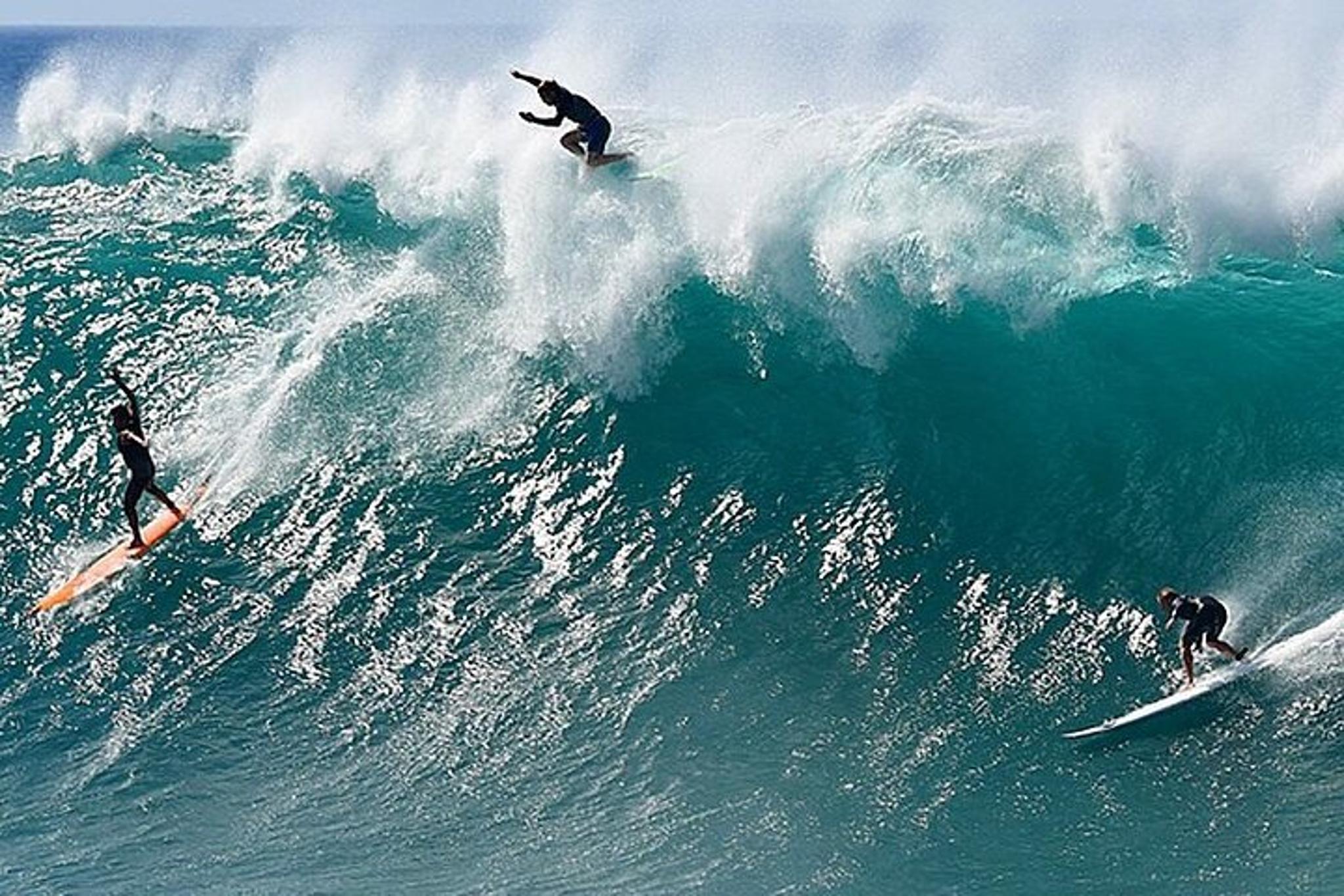 Oahu Swim with Turtles Tour - Image 1