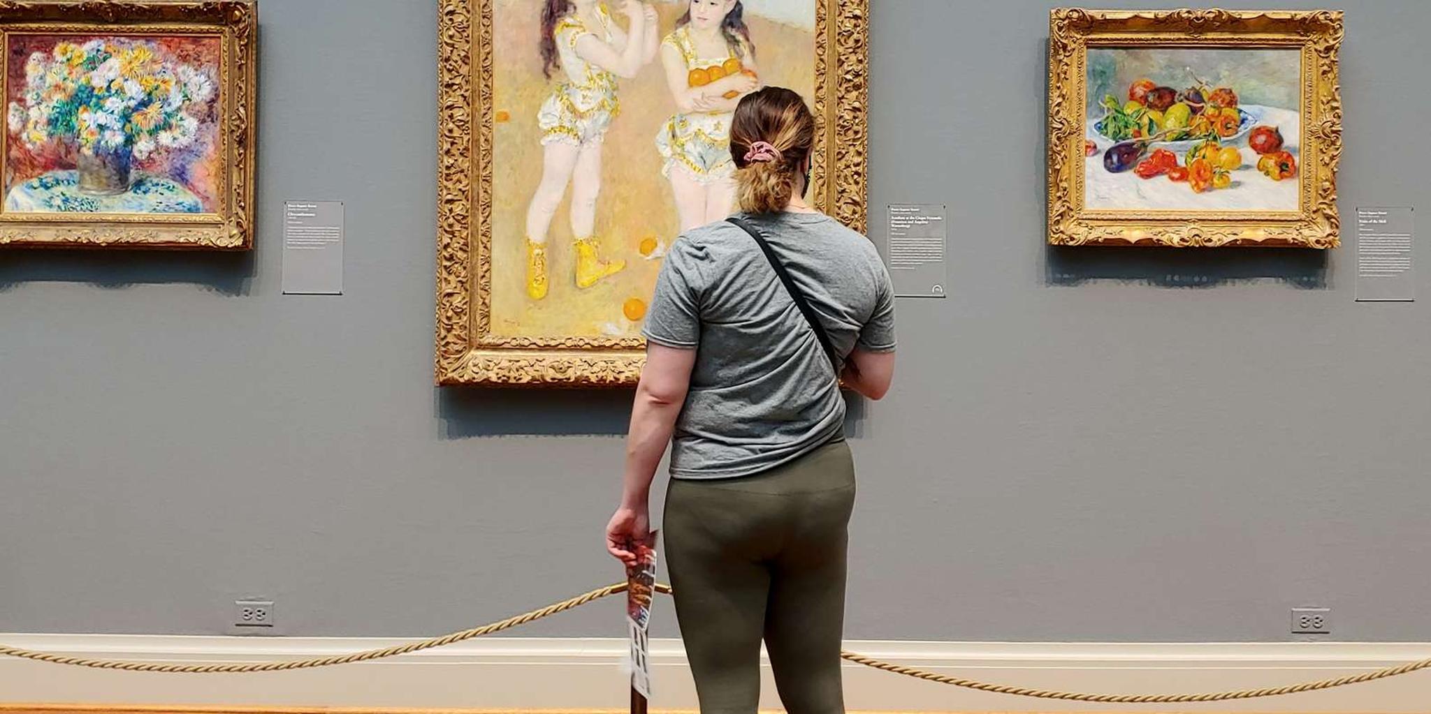 Chicago Art Institute Skip-the-Line Guided Tour - Image 4