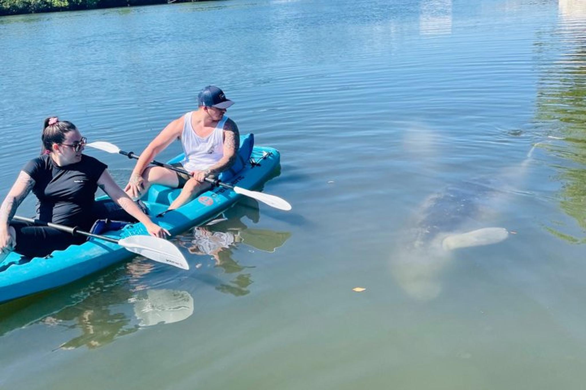 Merritt Island Dolphin and Manatee Adventure Tour - Image 3