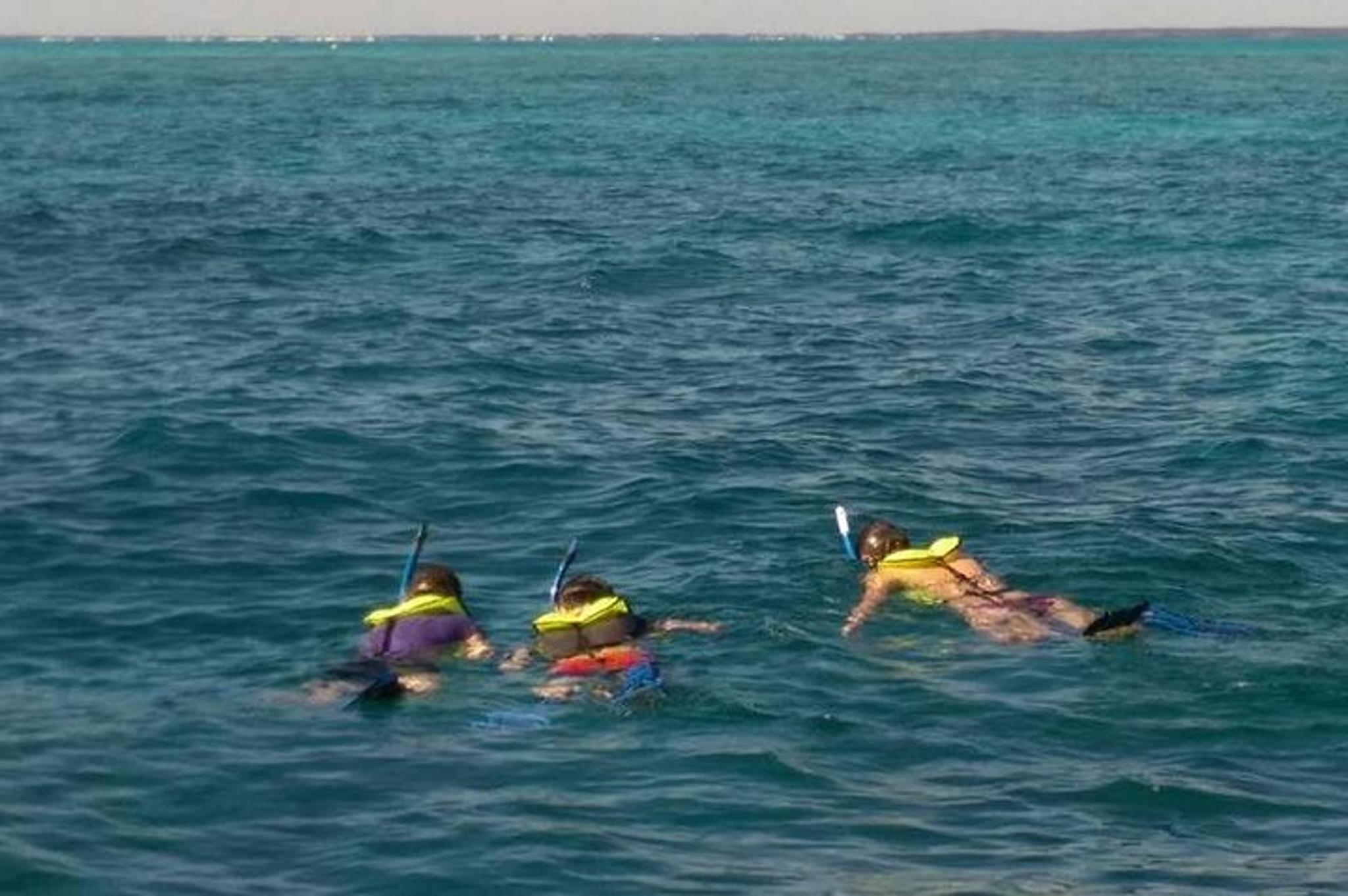 Key Largo Snorkel Tour at John Pennekamp Coral Reef - Image 4