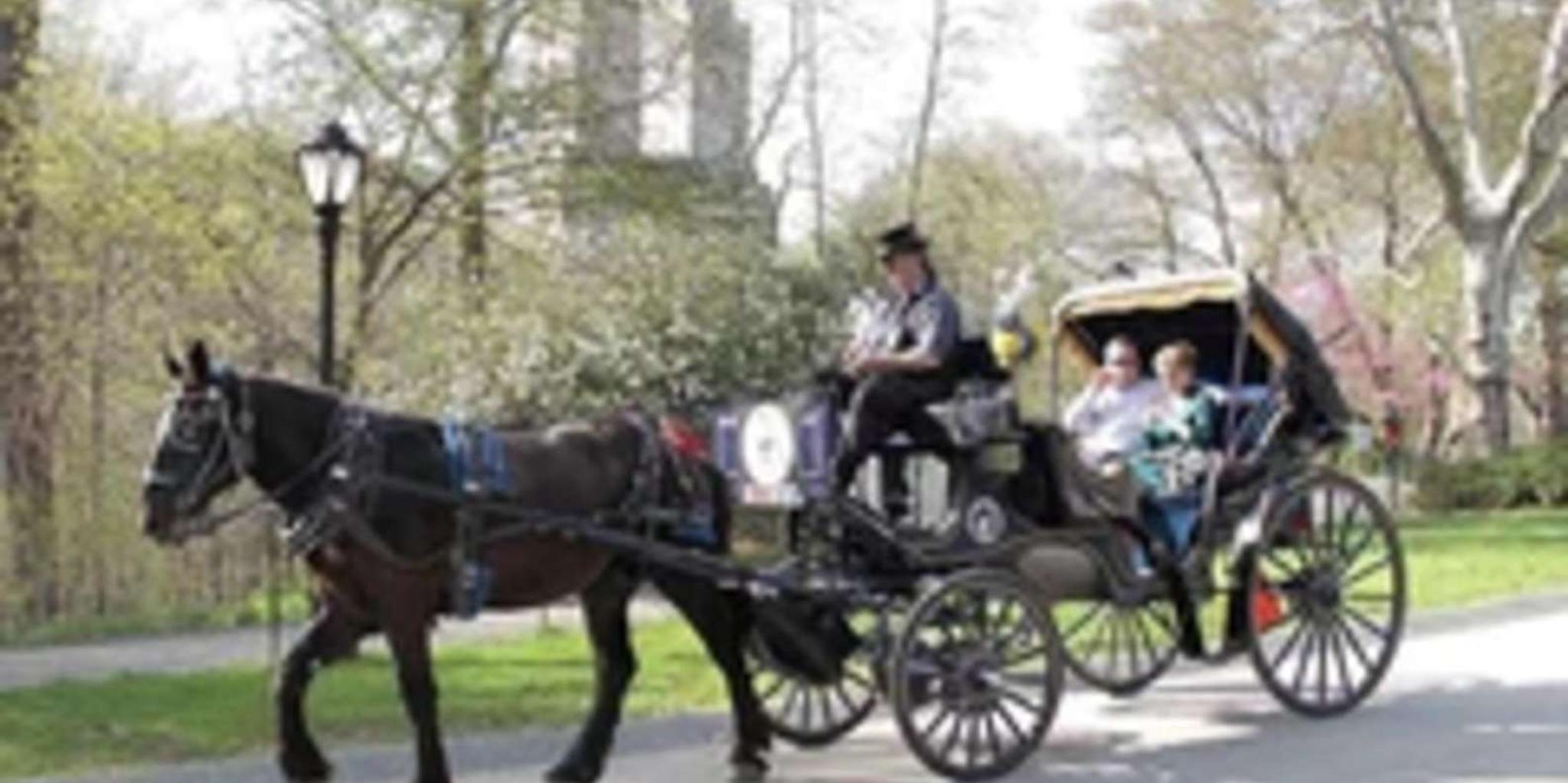 New York City Central Park Horse Carriage Ride 45 Min - Image 3
