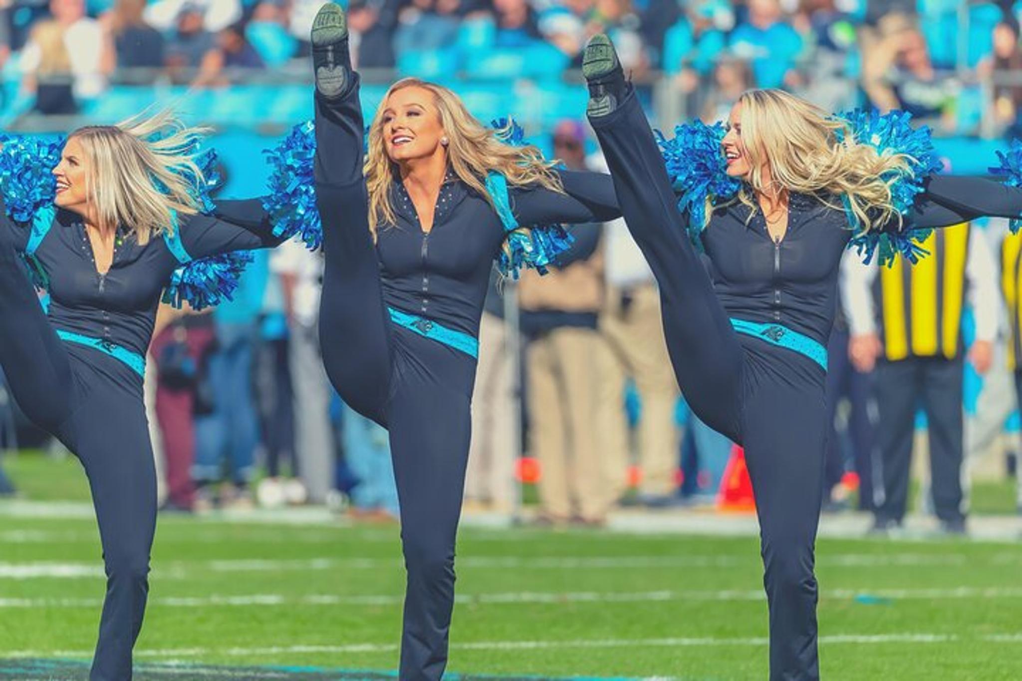 Charlotte Carolina Panthers Football Game - Image 4