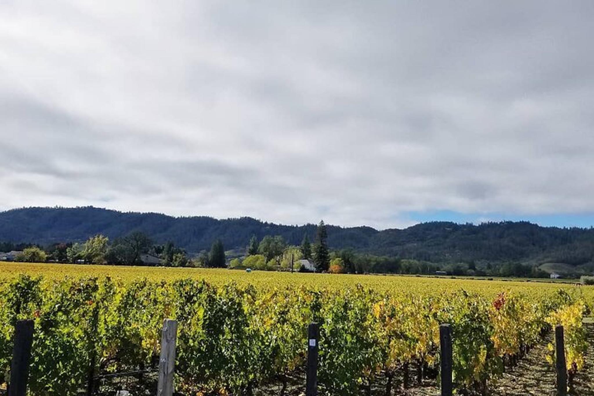 Napa Valley Private Wine Tour - Image 3