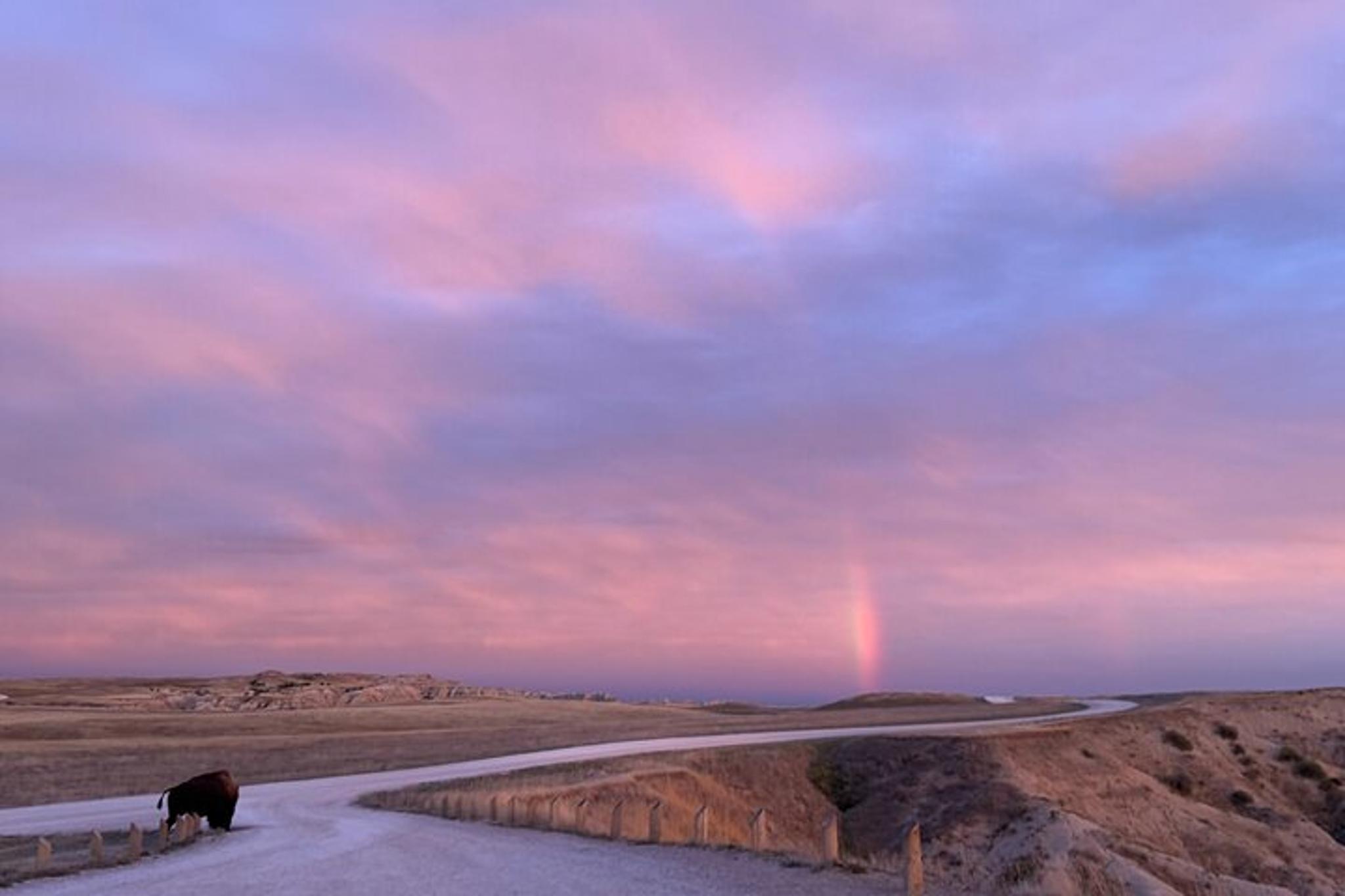 Badlands National Park Wildlife and Scenic Tour - Image 4