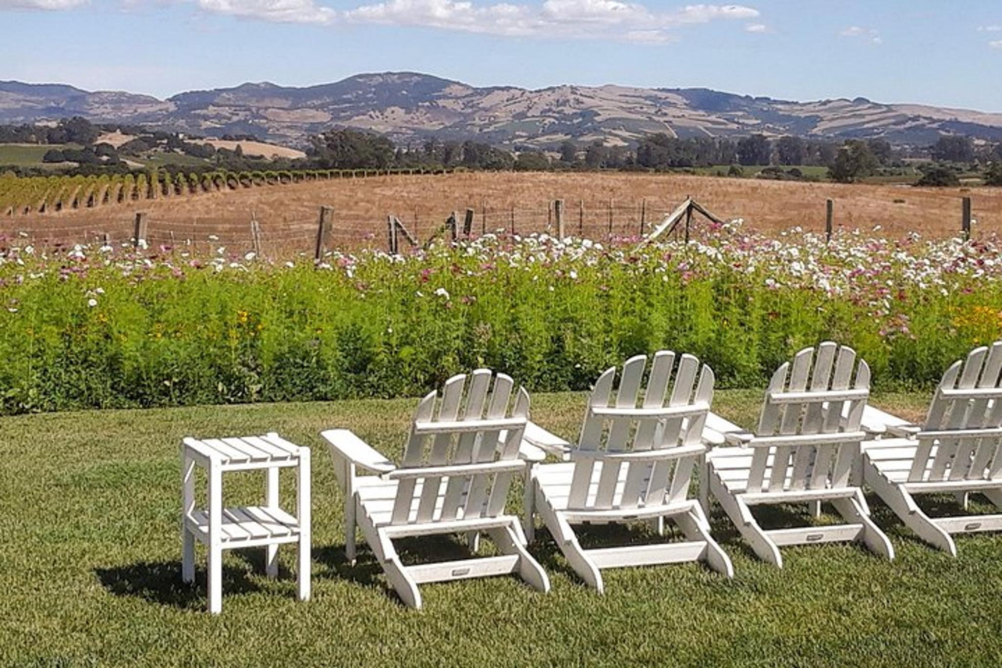 Healdsburg Wine Country Bike and Tasting Tour - Image 5