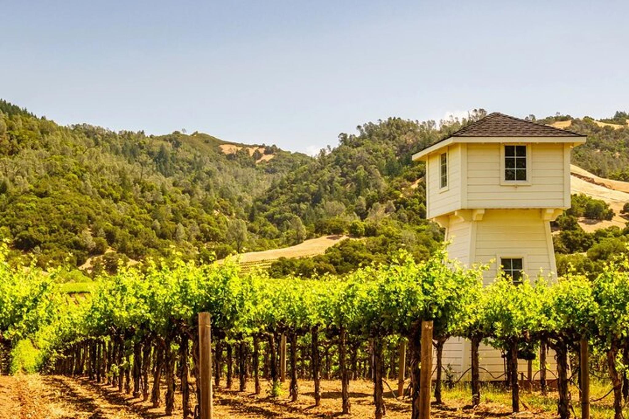 Sonoma Self-Guided Tasting Tour - Image 4