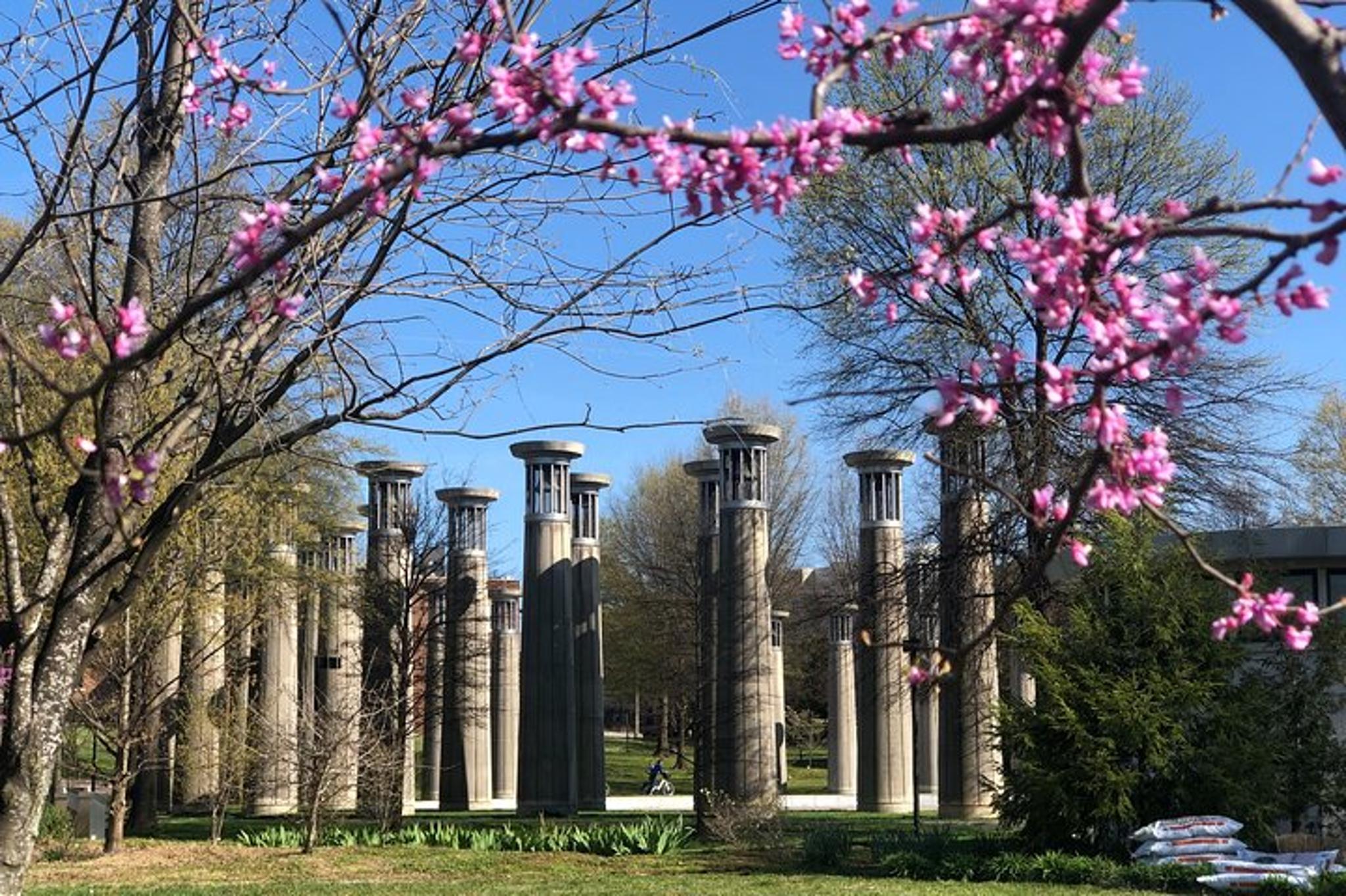 Nashville History and Food Tour - Image 3