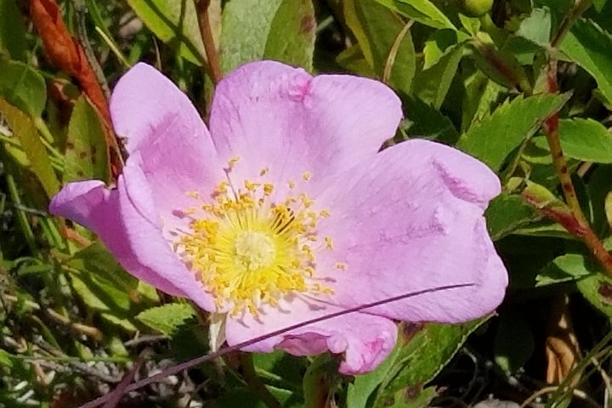 Martha's Vineyard Island Bus Tour - Image 4