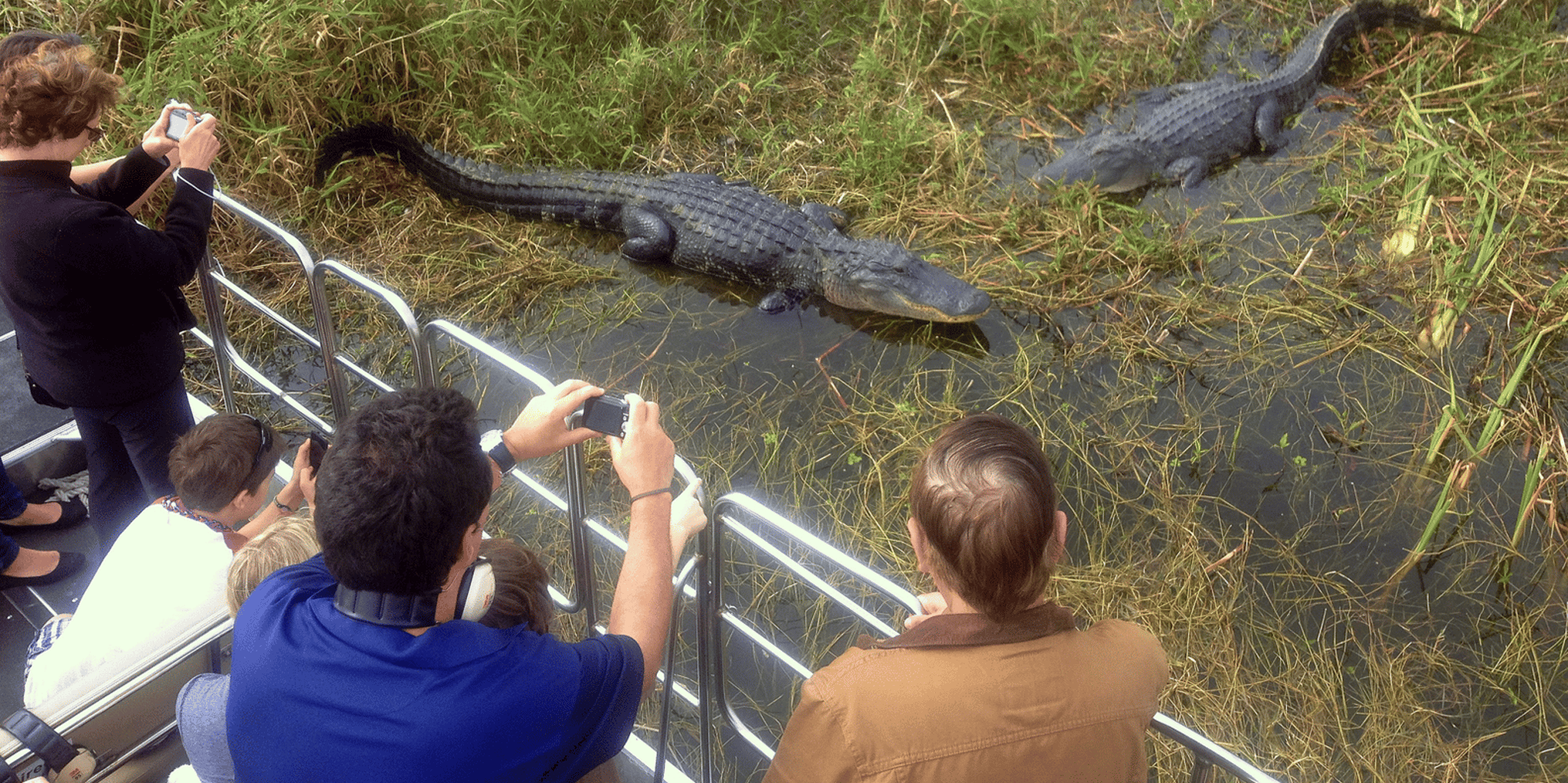 Orlando Everglades Airboat Tour and Wildlife Park - Image 2