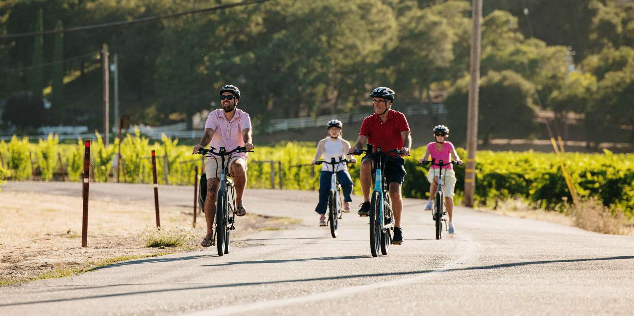 Healdsburg Electric Bike Wine Tour - Image 4