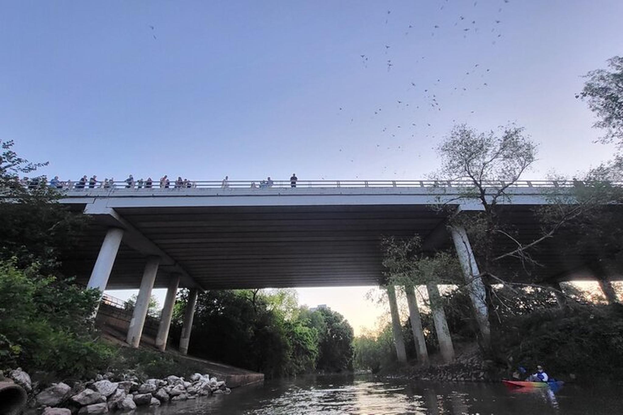 Houston Bat and Skyline Kayaking Tour - Image 4