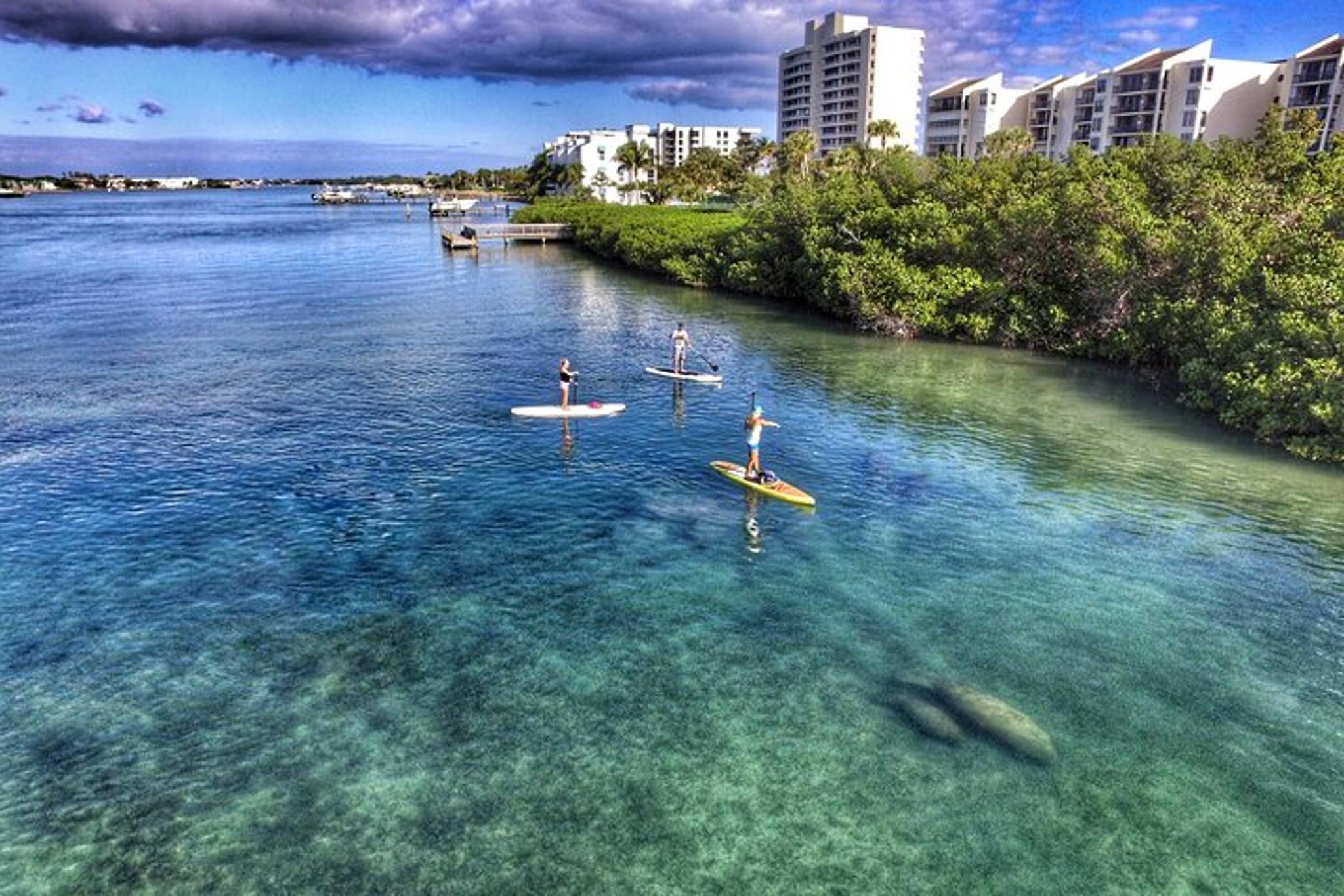 Jupiter Island Paddle Boarding Tour - Image 4