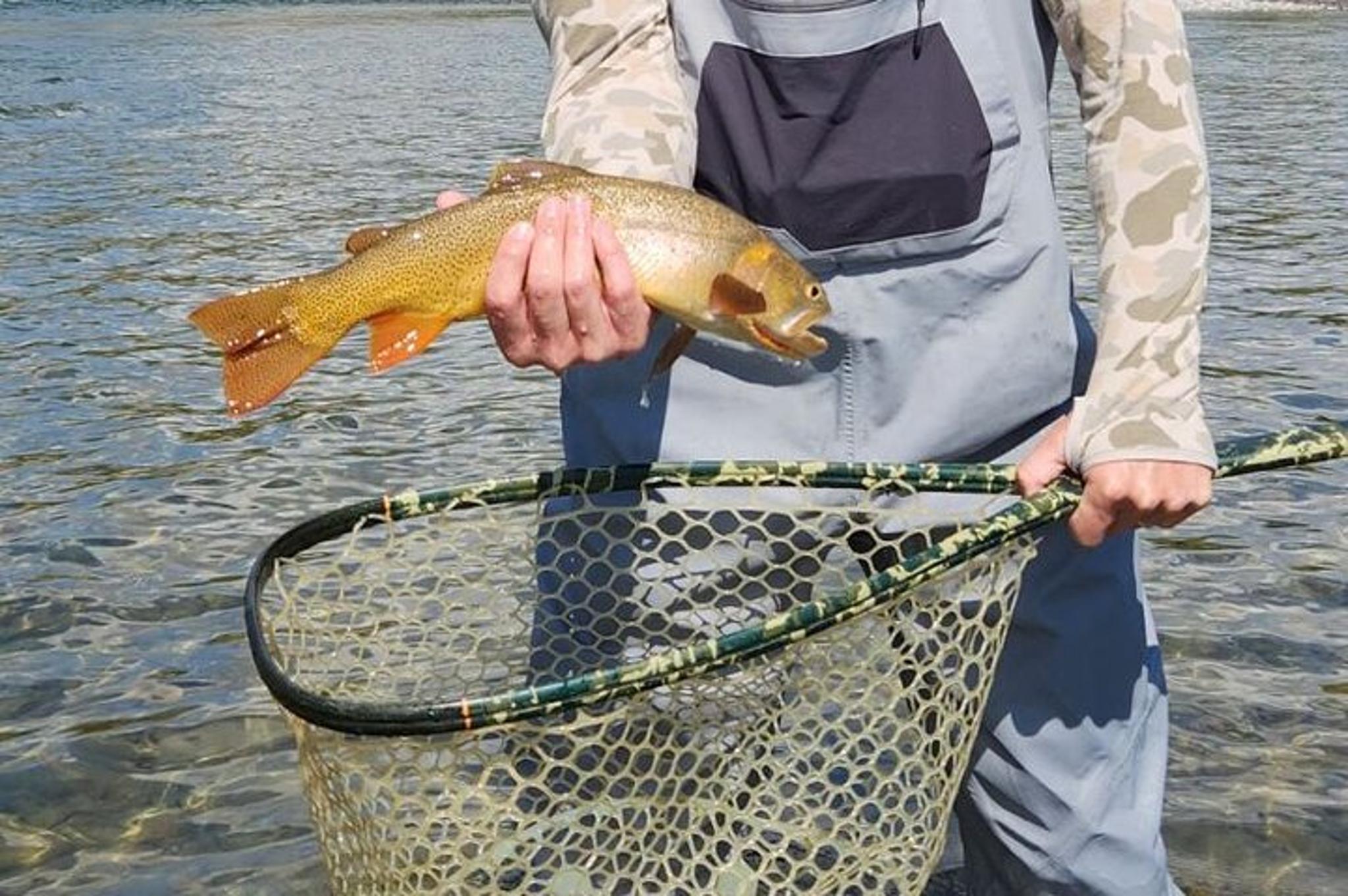 Jackson Hole Guided Walk Wade Fishing 2 hr - Image 3