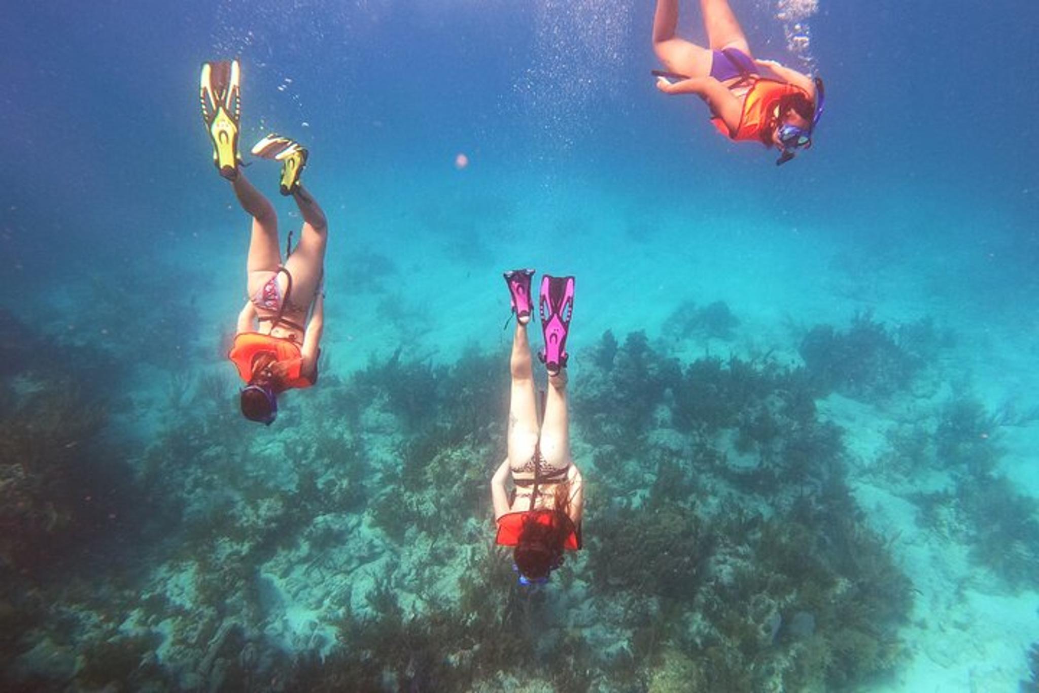 Key Largo Reef Snorkel Tour - Image 2