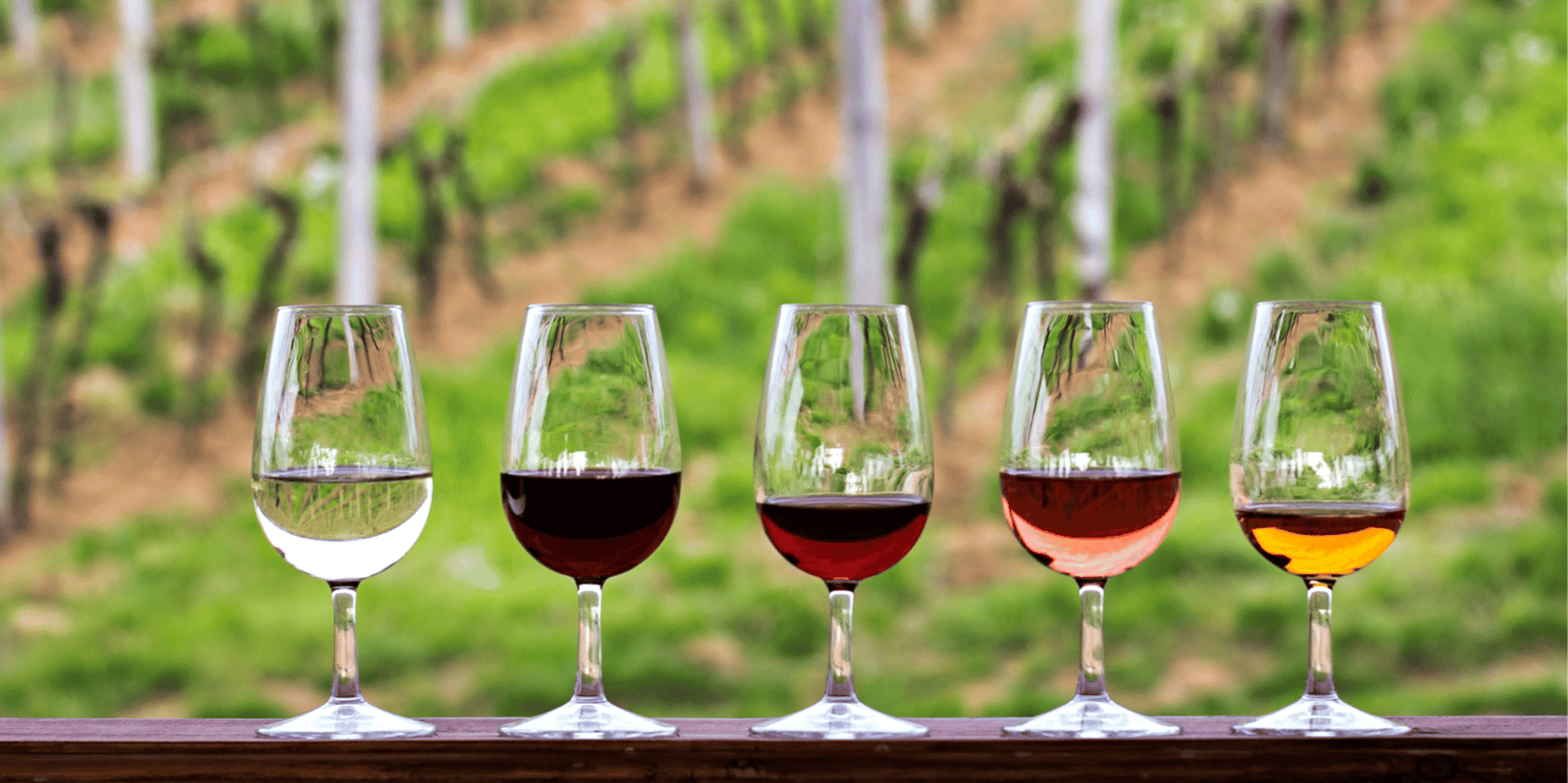 Austin Hill Country Wine Shuttle - Image 2