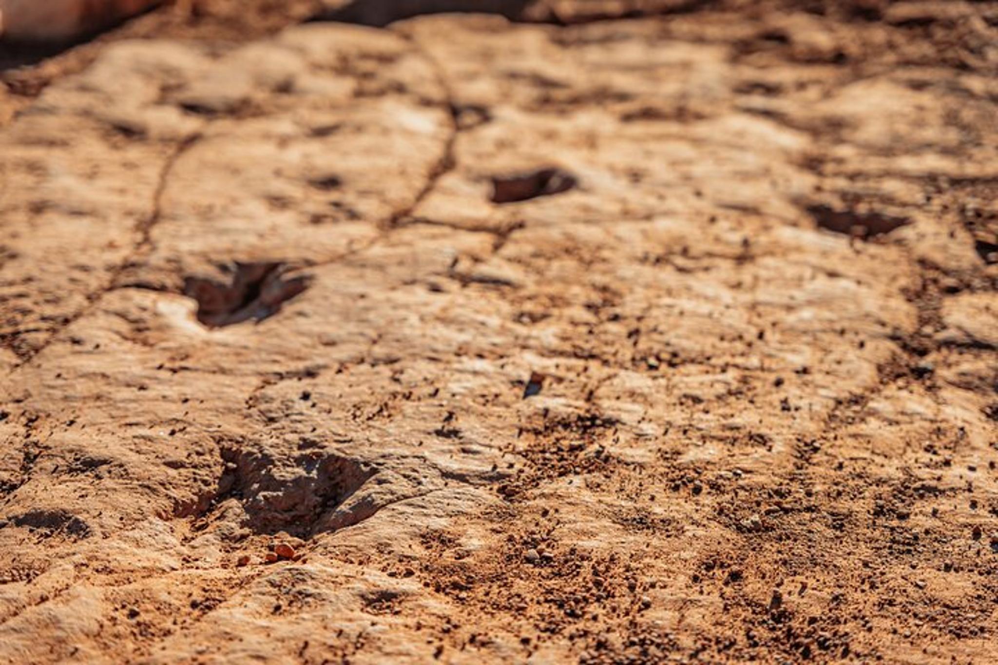 Greater Zion Dinosaur Tracks UTV Tour - Image 3