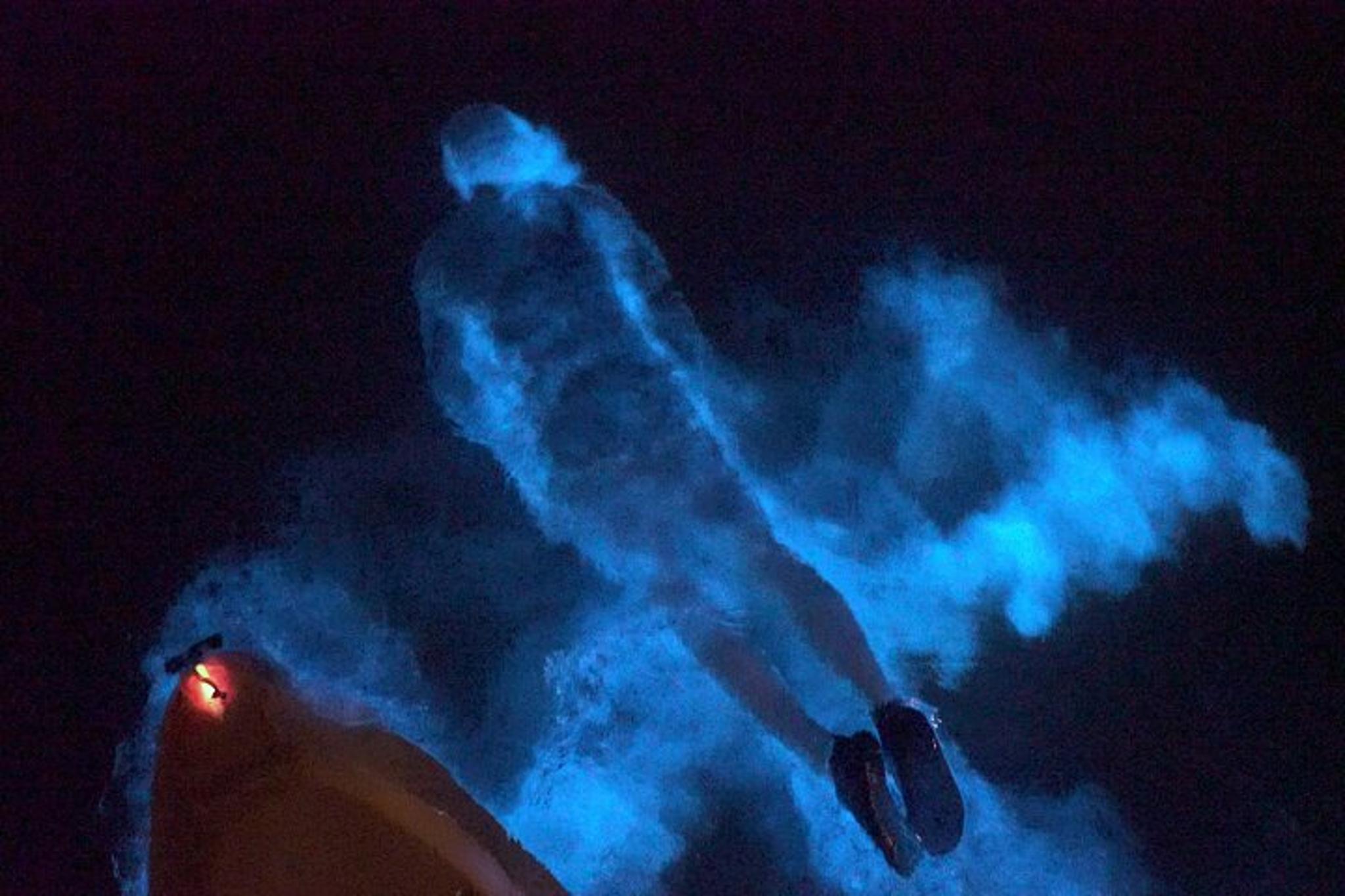 Merritt Island Clear Kayak Bioluminescence Tour 2 hr - Image 5
