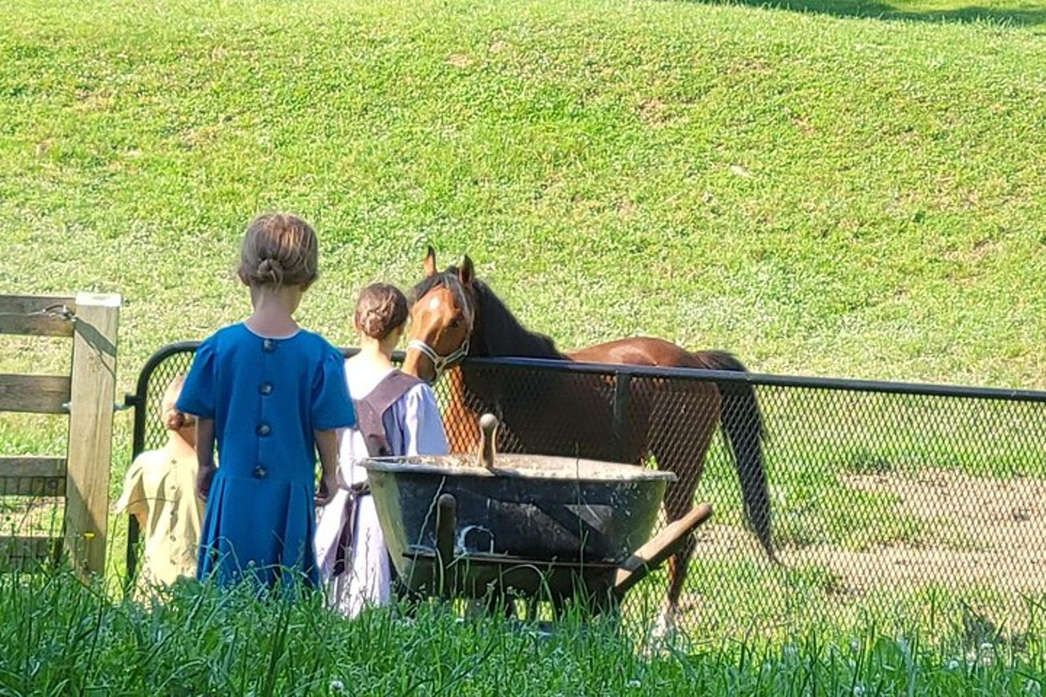 Lancaster Downtown & Amish Country Tour - Image 6