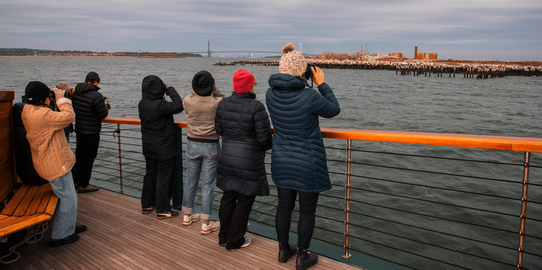 New York City Winter Wildlife Boat Tour - Image 4
