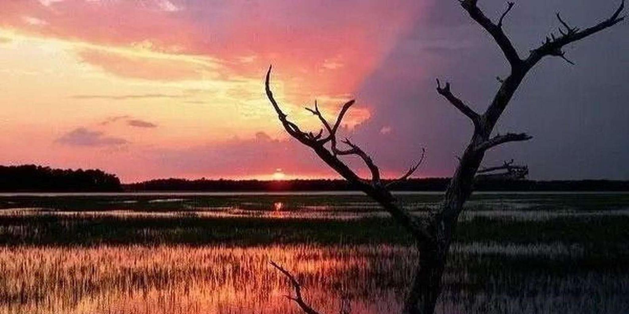 Hilton Head Island Dolphin Cruise at Sunset - Image 3