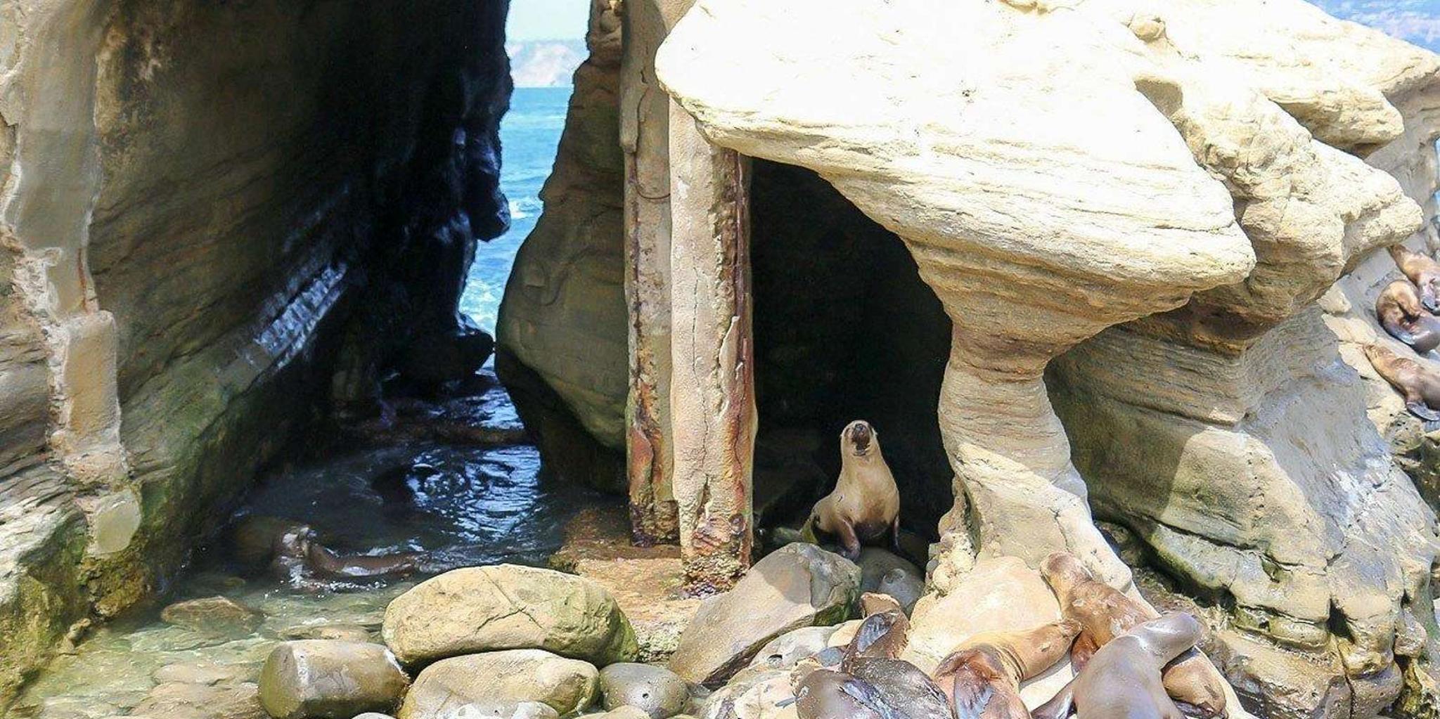 San Diego Guided Day Trip from Orange County - Image 4