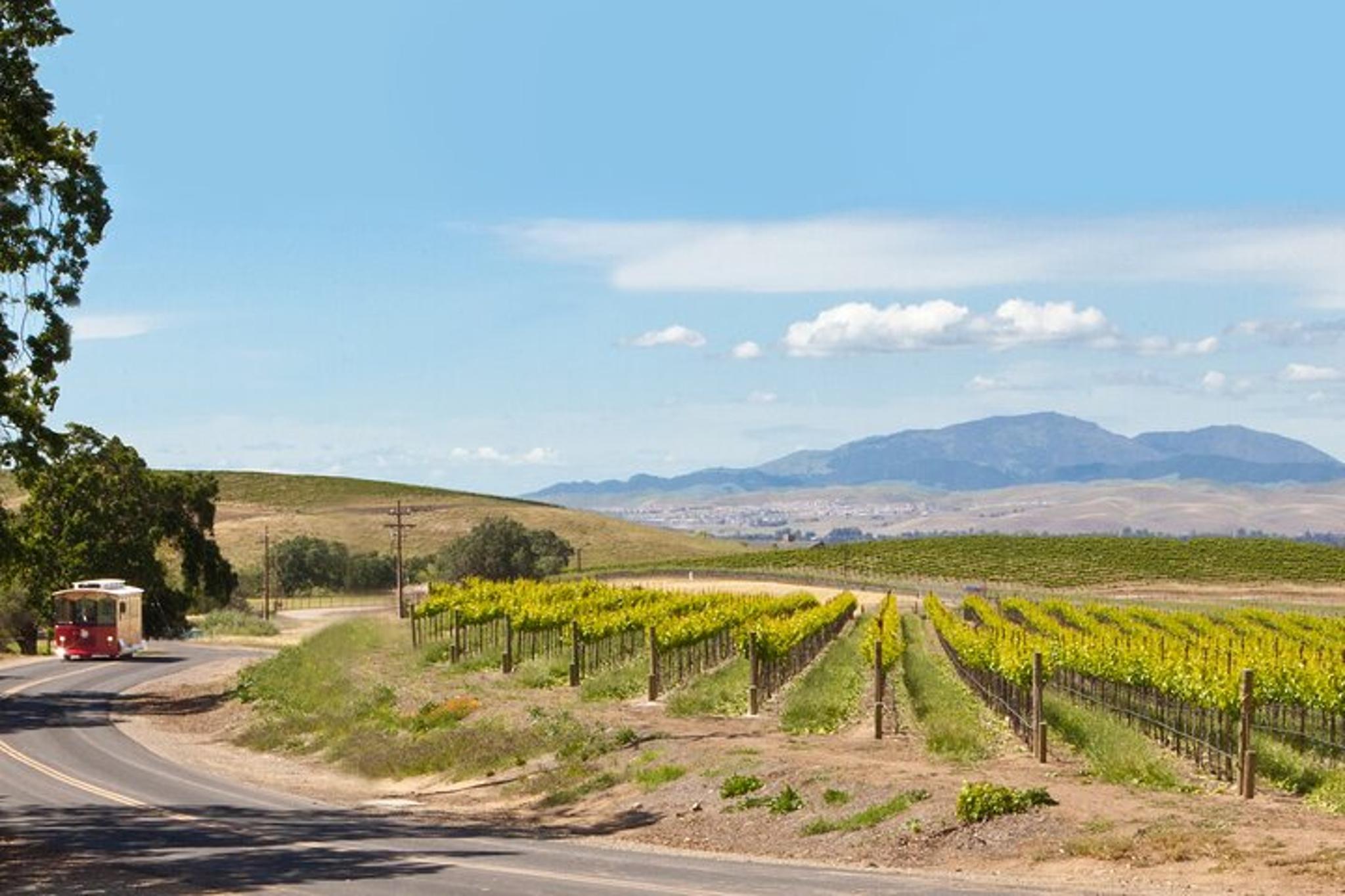 Livermore Valley Wine Tour 4 hr - Image 2