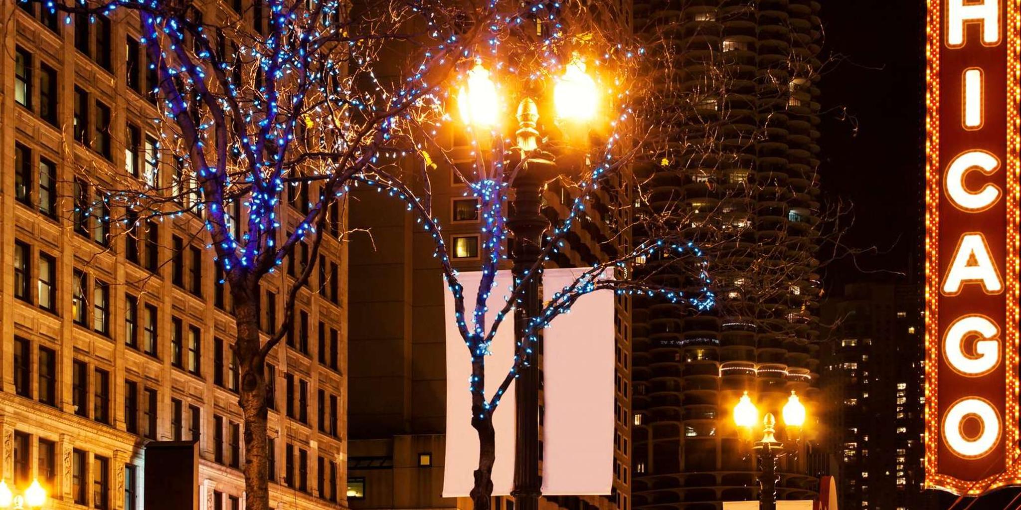 Chicago Festive Lights Christmas Tour - Image 5