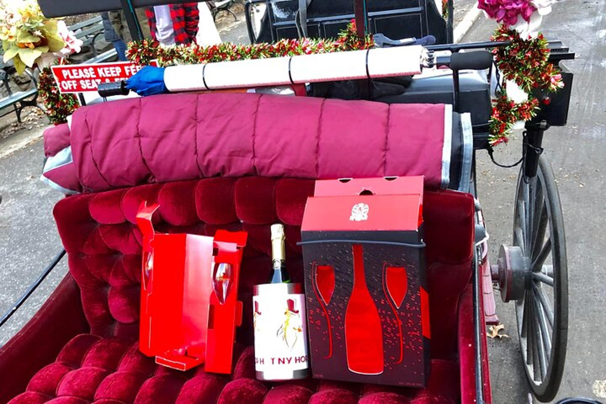 New York Central Park Carriage Tour with Champagne 50 min - Image 5