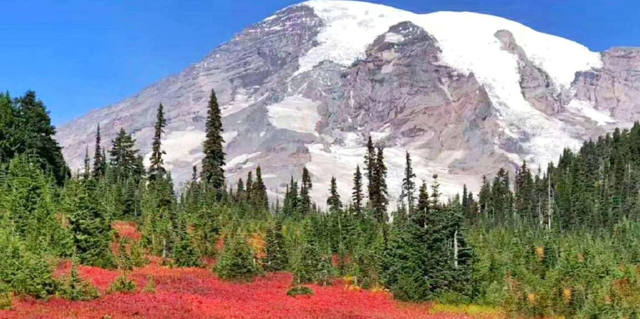 Seattle Mount Rainier National Park Day Tour - Image 3