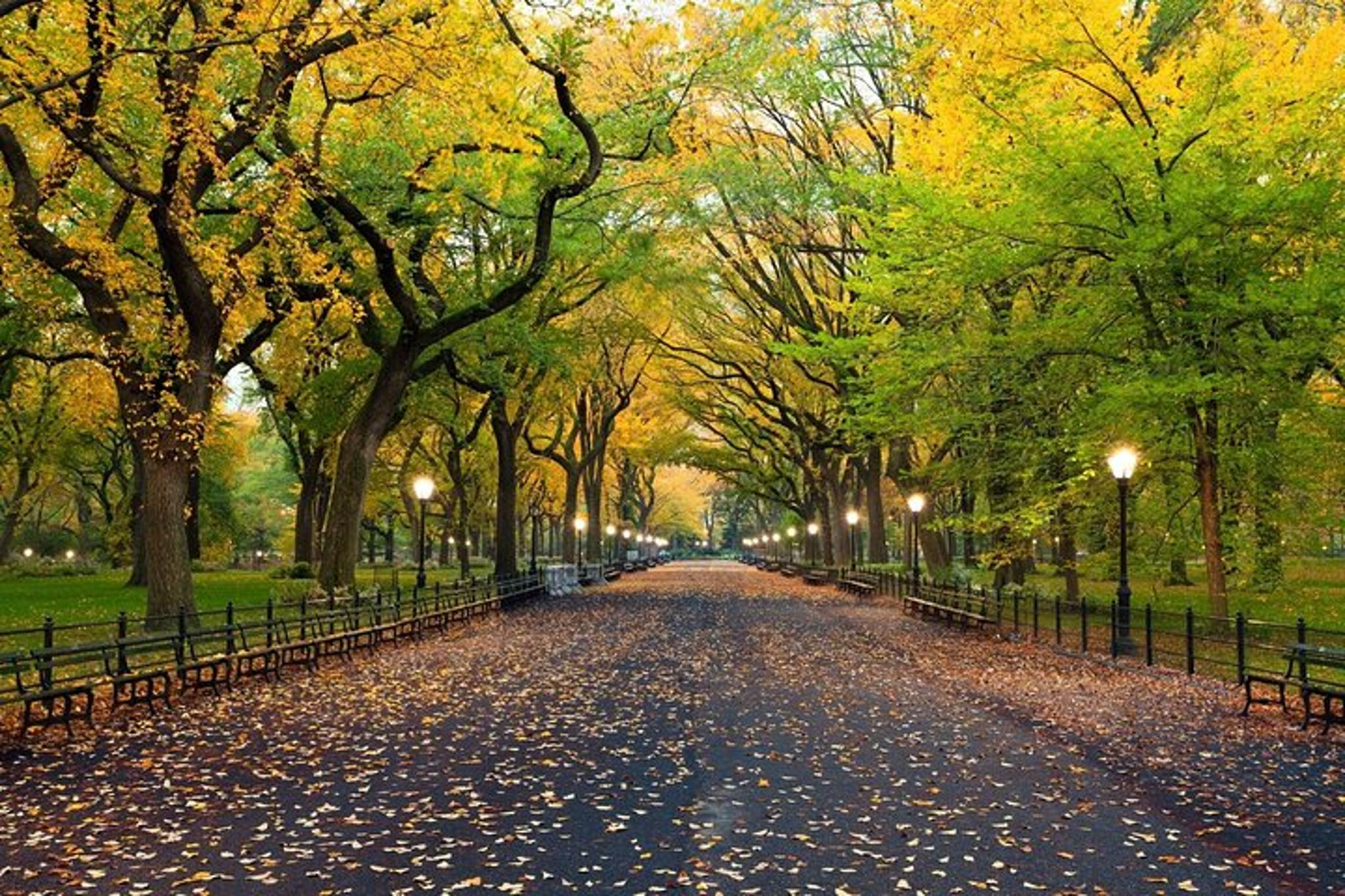 New York Central Park Scavenger Hunt - Image 6