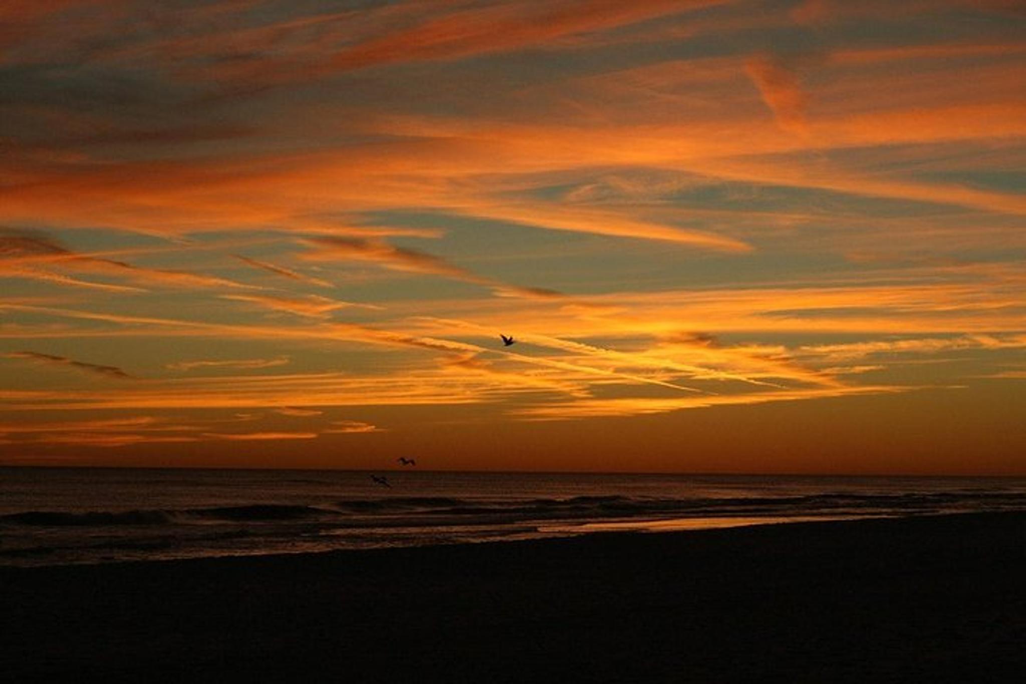 Destin Dolphin Watching Cruise at Sunset 45 min - Image 2