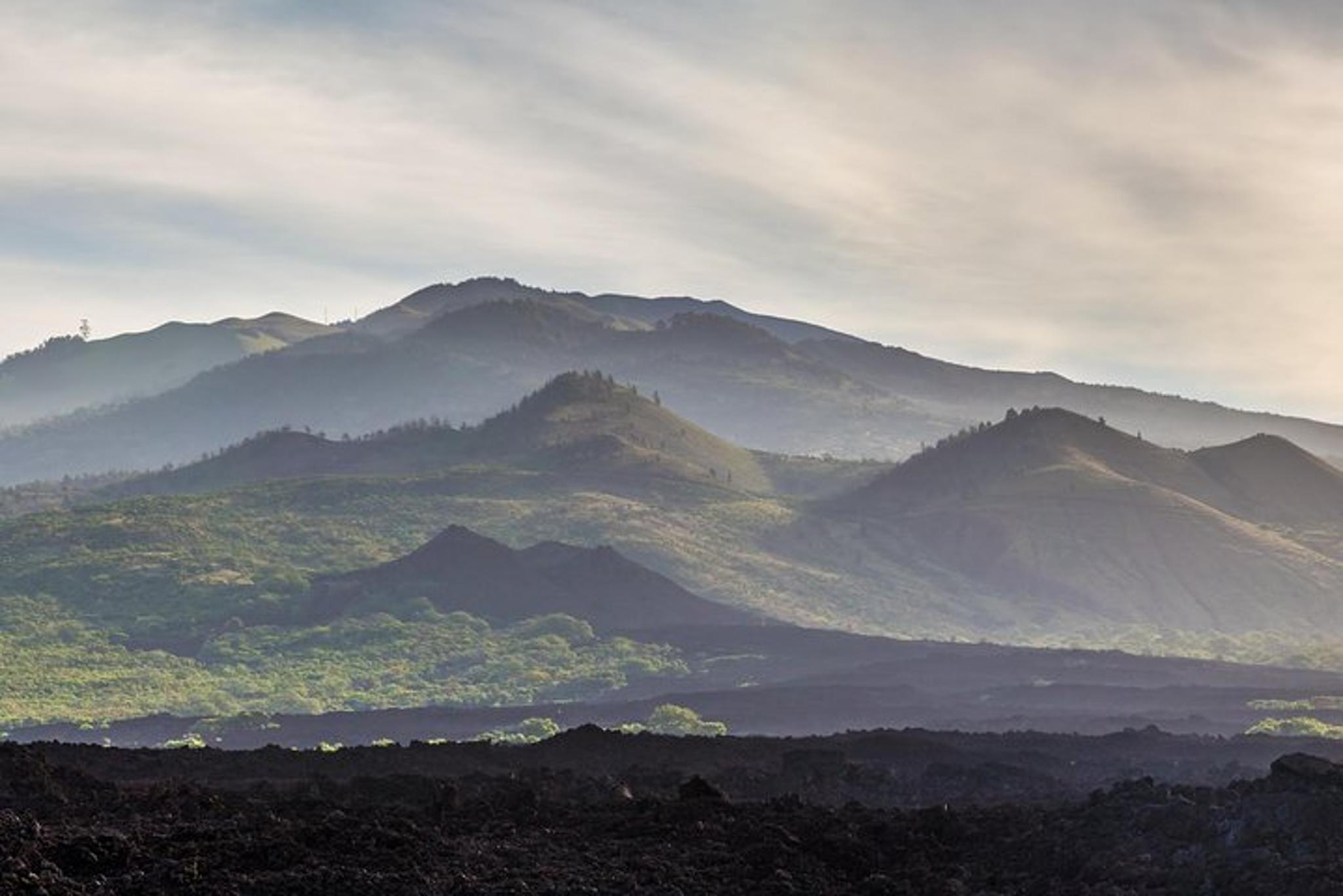 Kahului Private Tropics and Rainforest Tour - Image 5