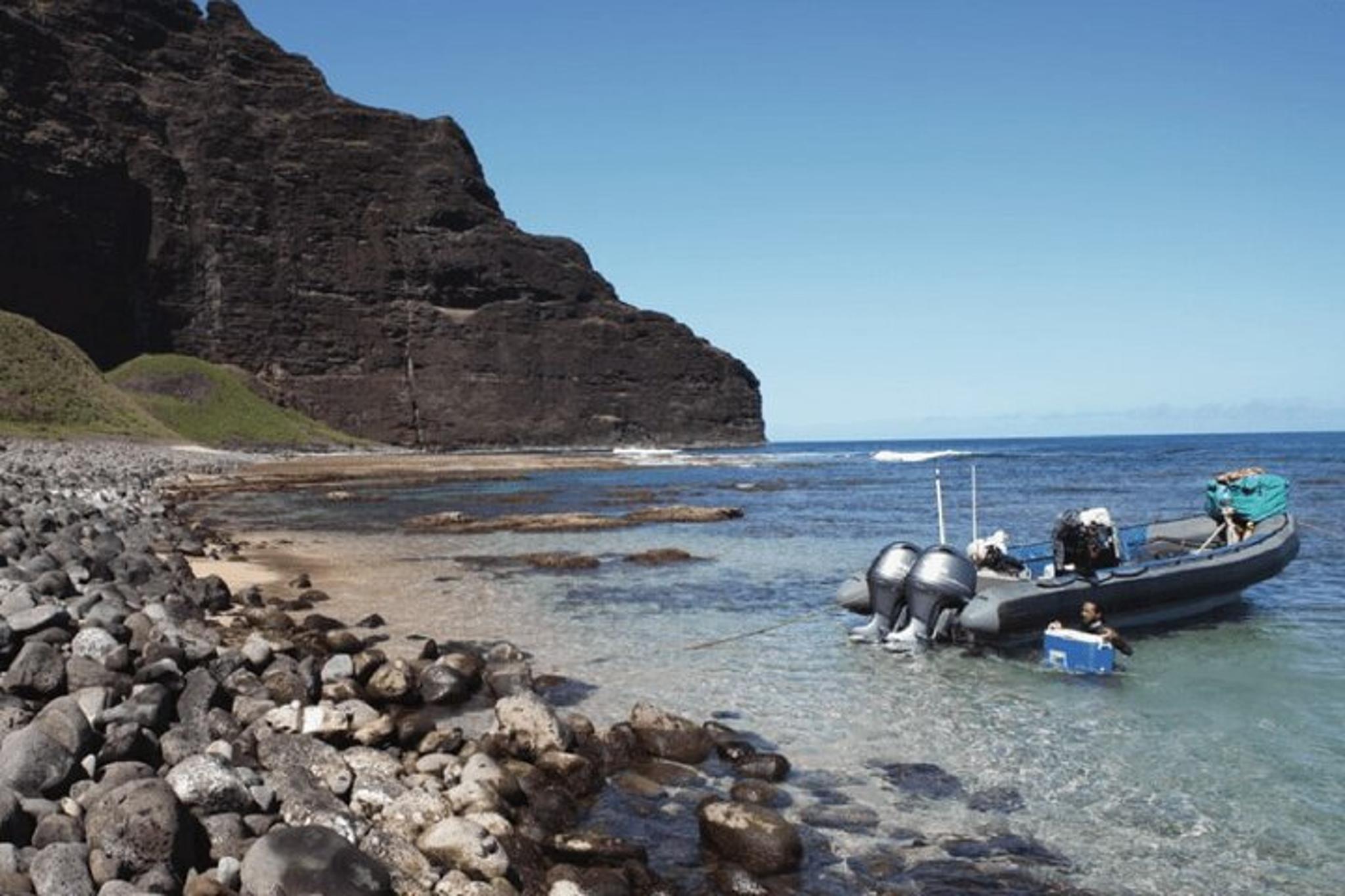 Kauai Raft Expedition with Beach Landing - Image 1