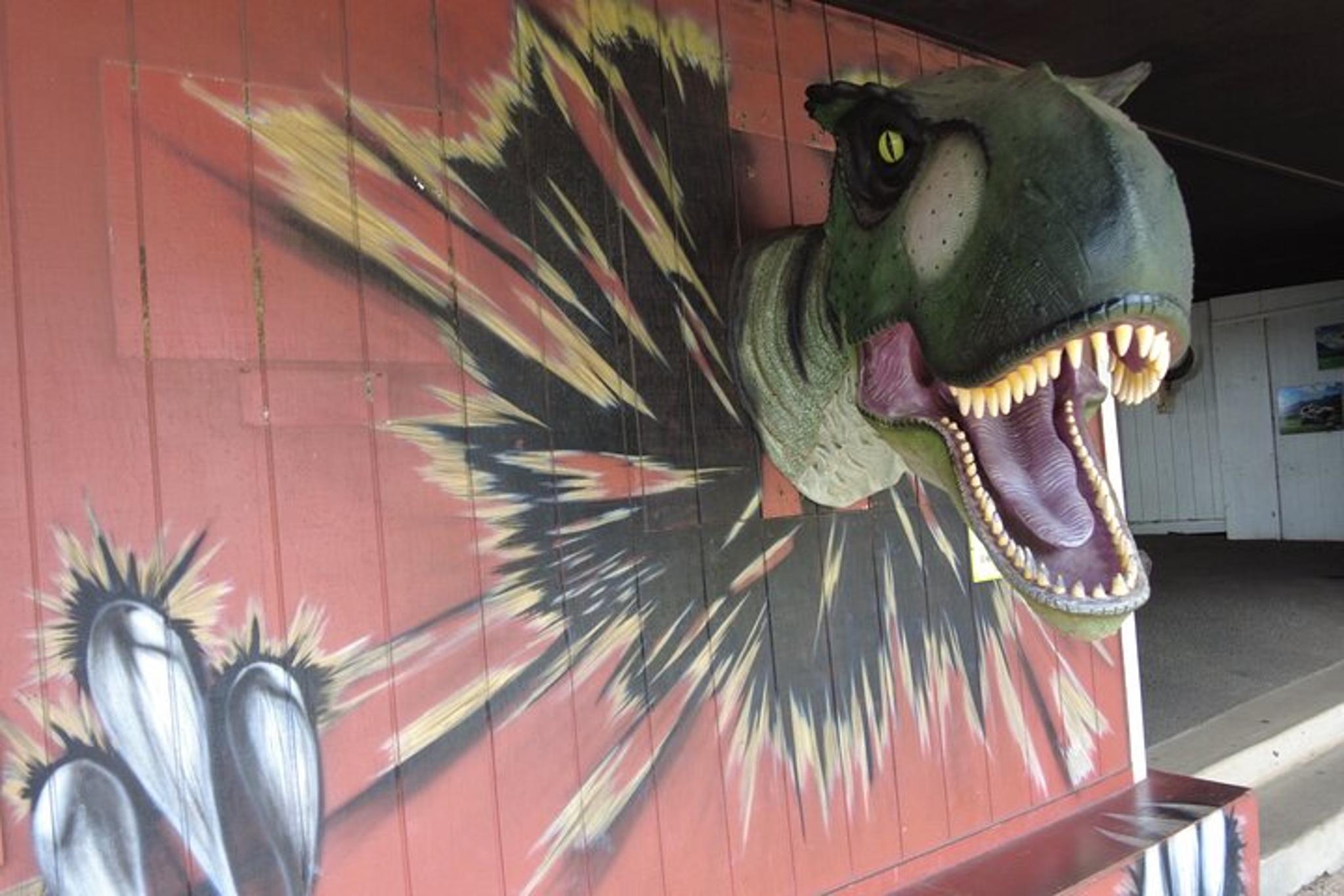 Oahu Circle Island Tour Full Day - Image 4