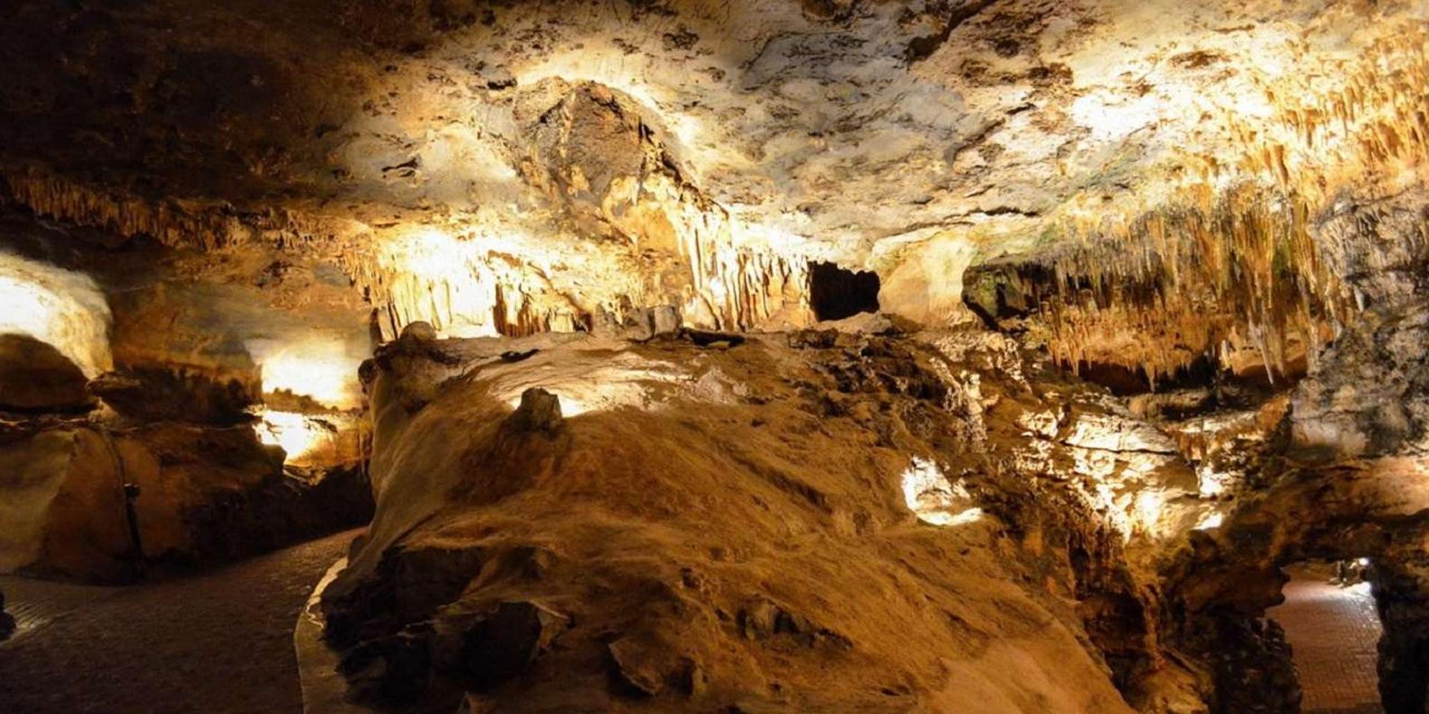 Washington D.C. Shenandoah and Luray Caverns Tour - Image 3