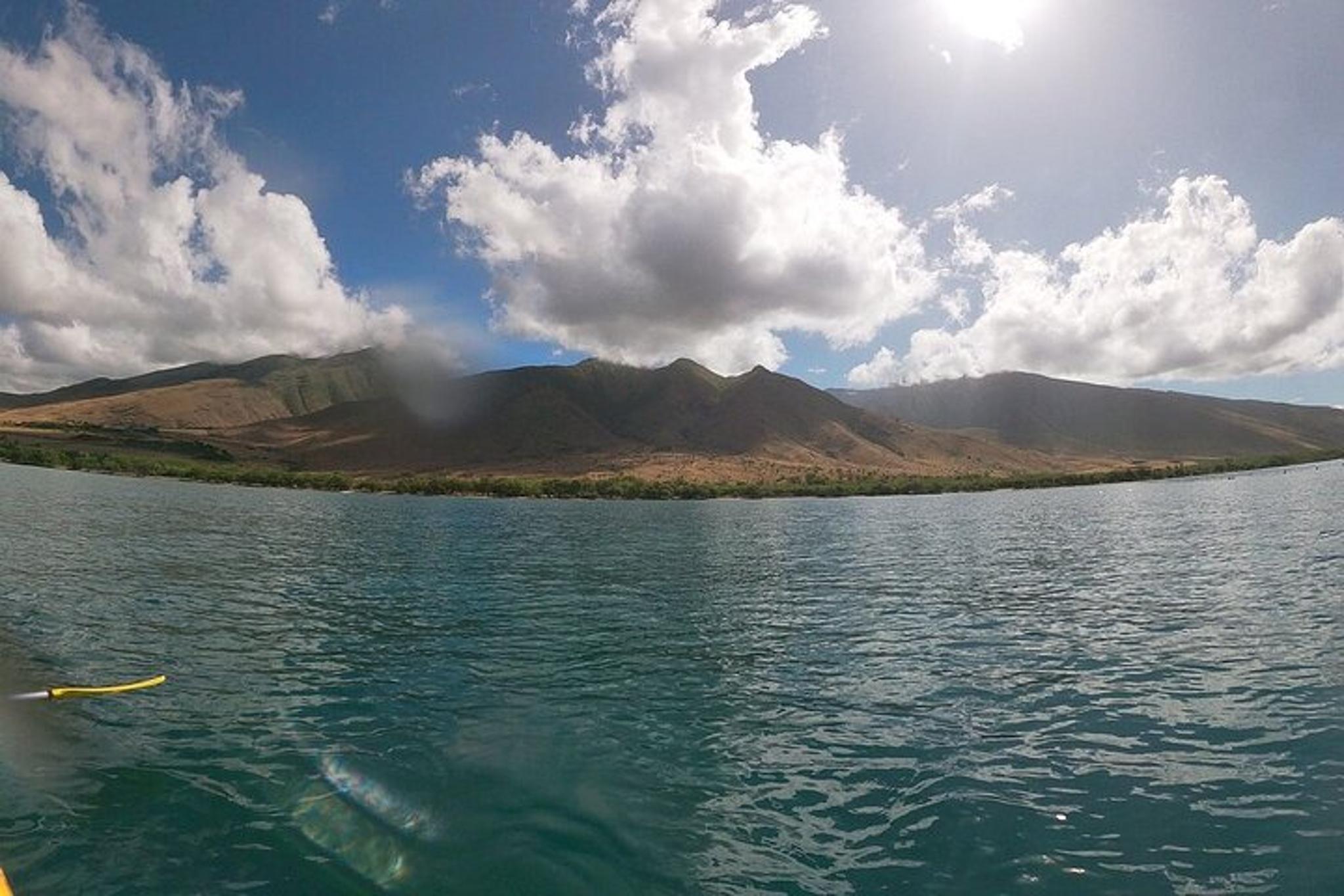 Maui Kayak and Snorkel Tour West Shore 2.5 Hr - Image 4