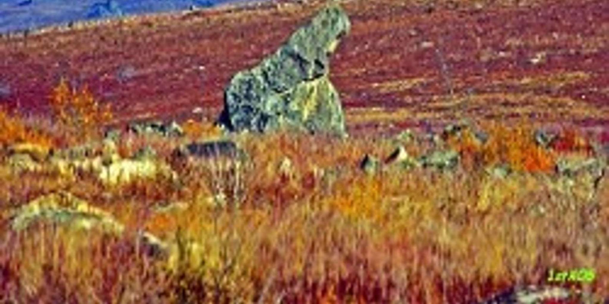 Fairbanks Arctic Circle Adventure Full-Day Tour - Image 4