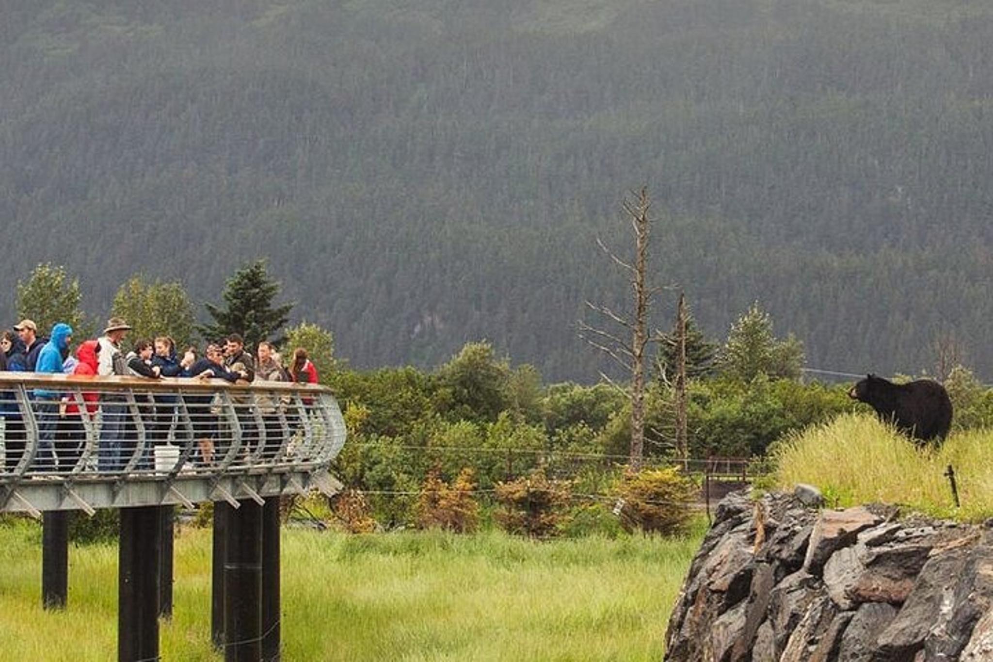 Anchorage Scenic Turnagain Arm Glacier Tour - Image 4